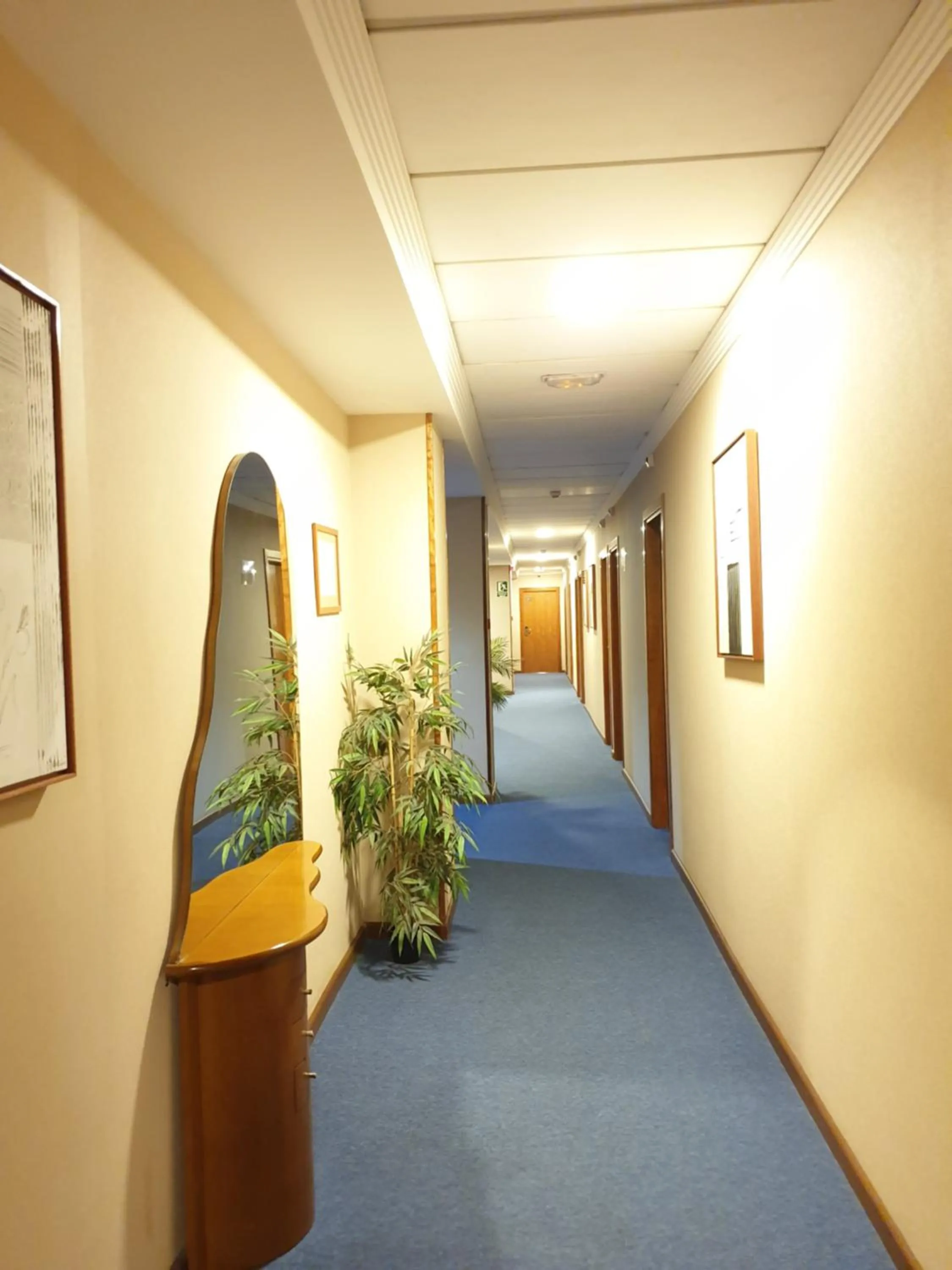 Area and facilities in Hotel Suite Camarena