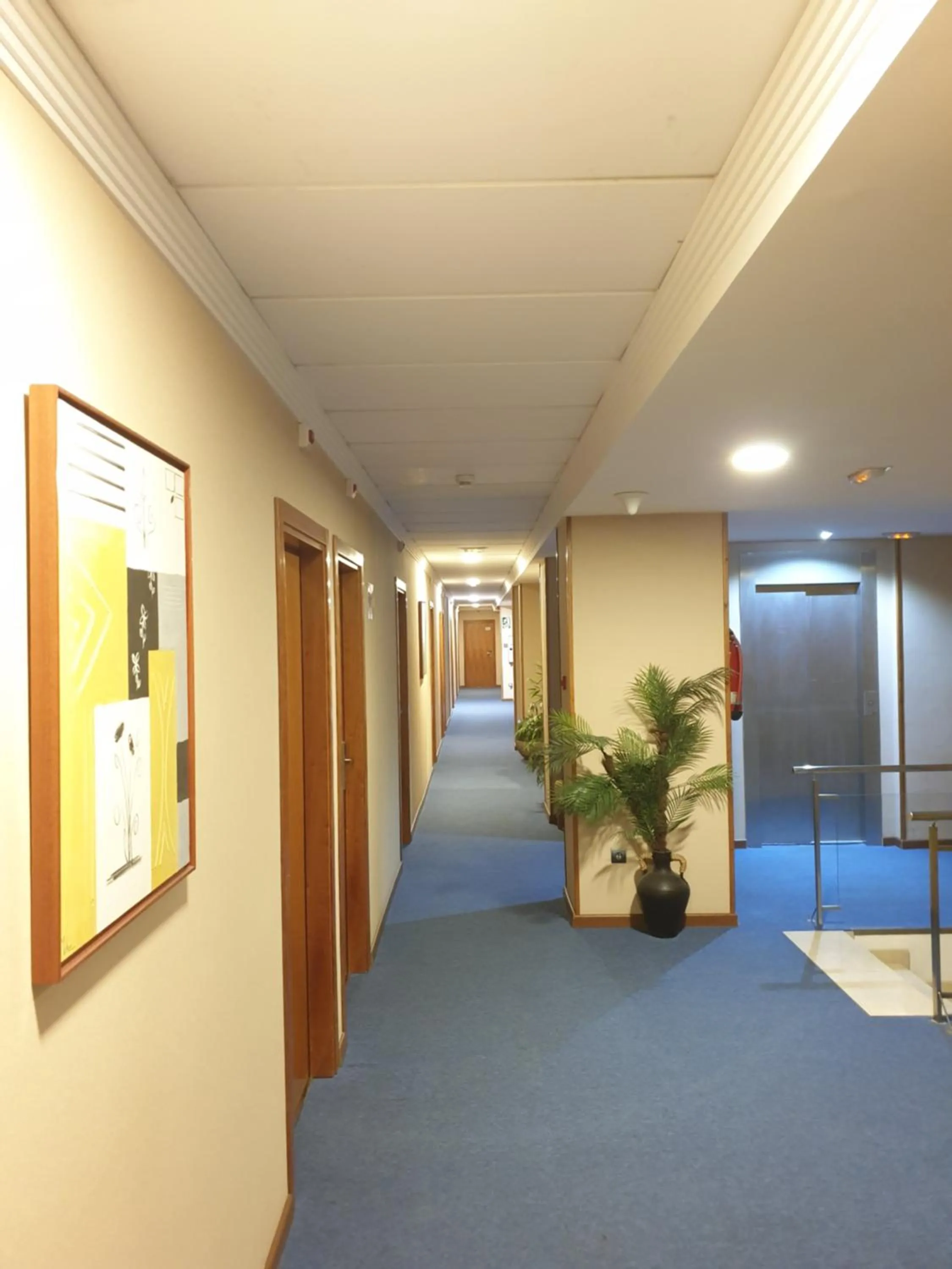 Area and facilities in Hotel Suite Camarena