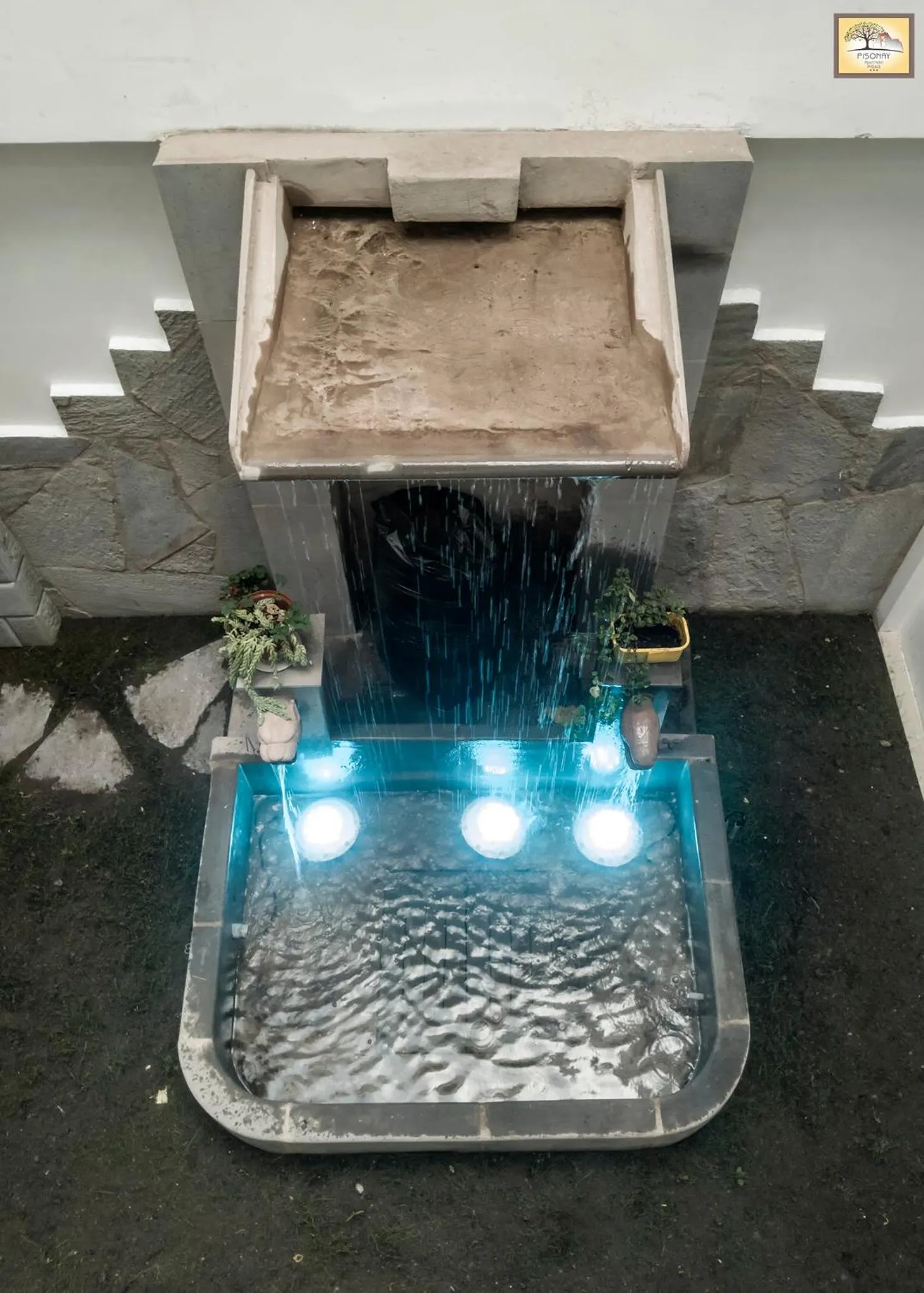 Area and facilities in Pisonay Hotel