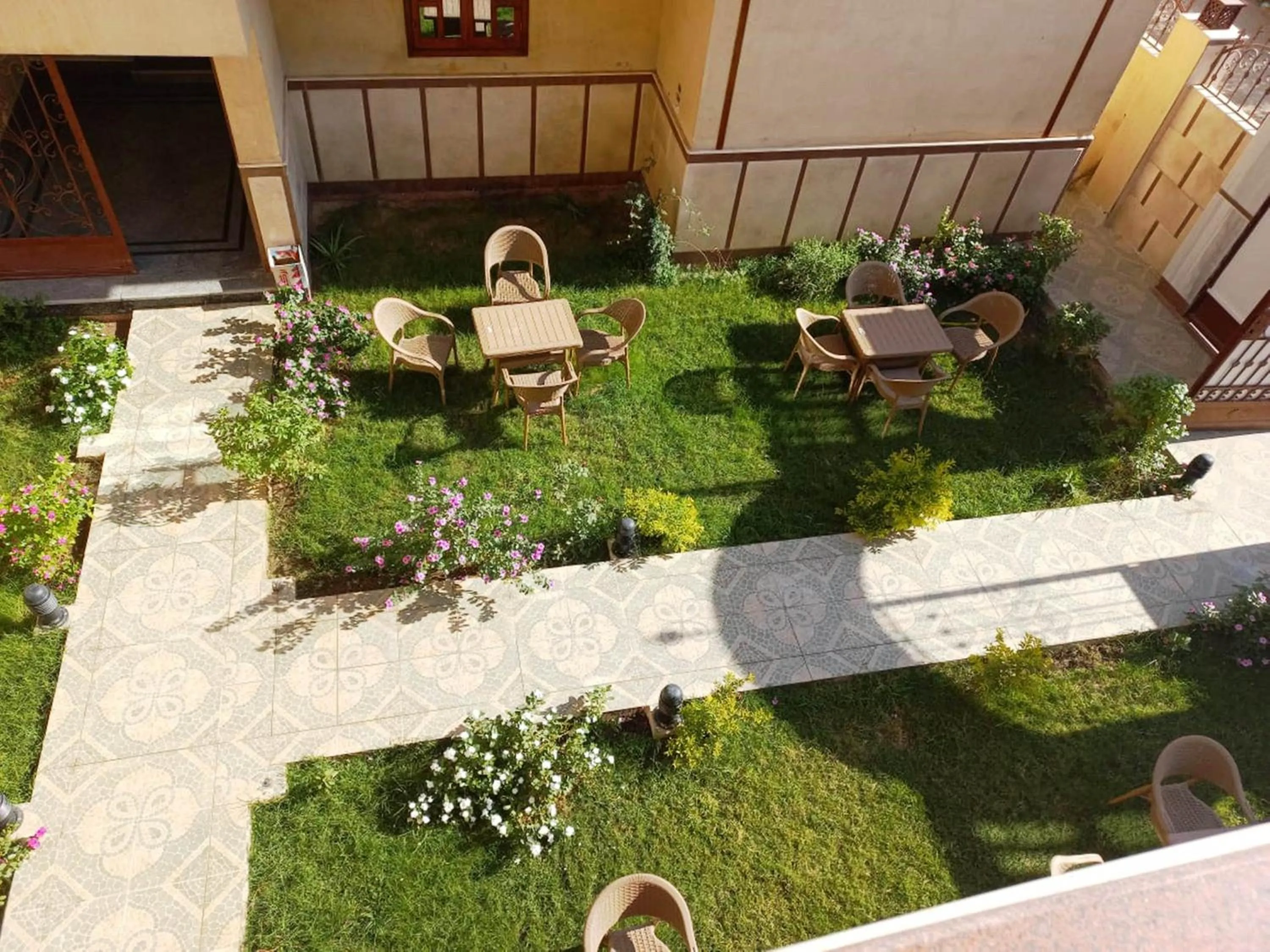 Garden view in Mikhaila Guest House