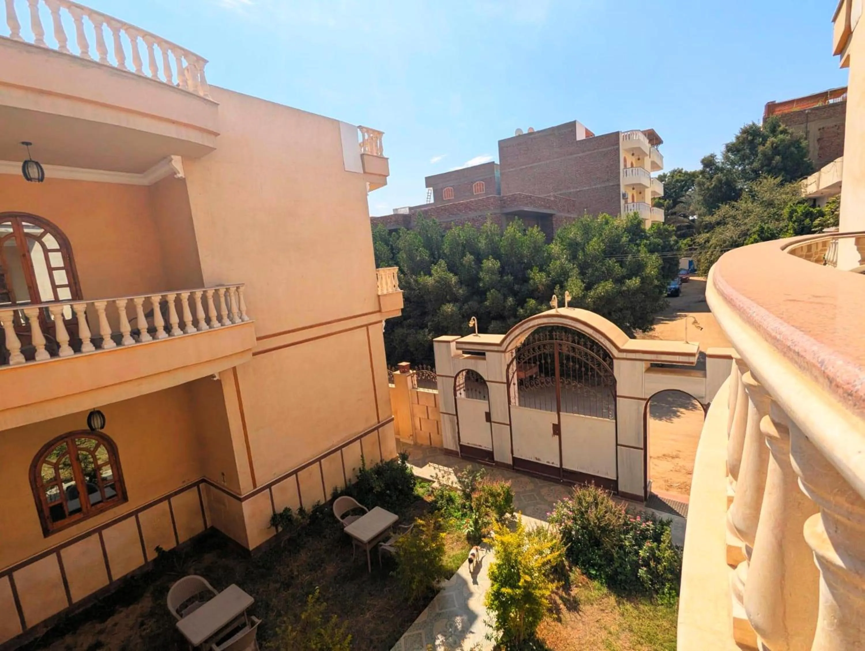 Garden in Mikhaila Guest House