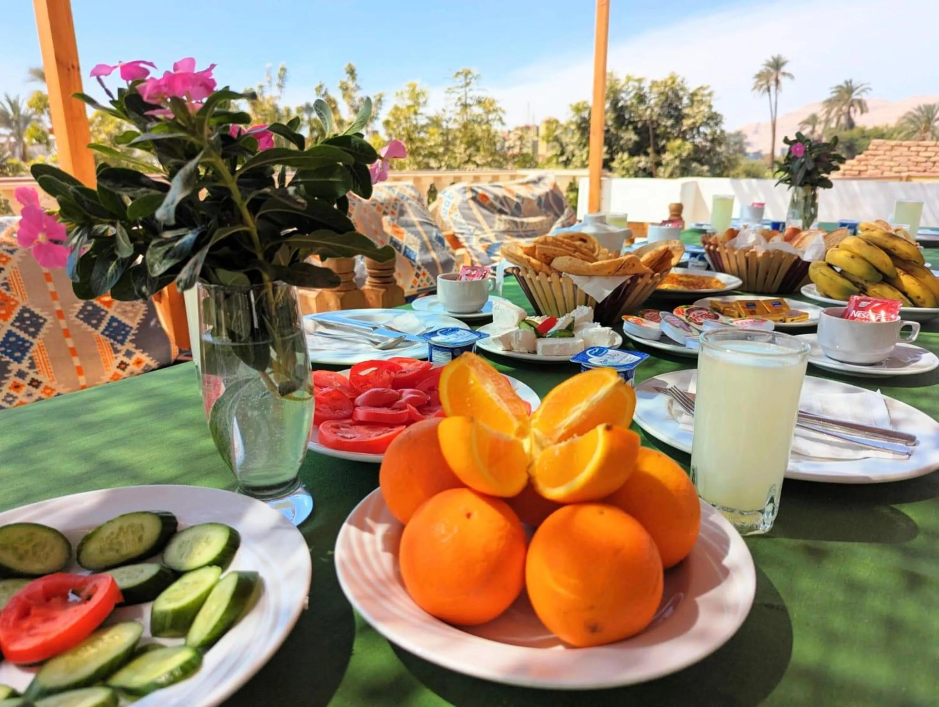 Day in Mikhaila Guest House