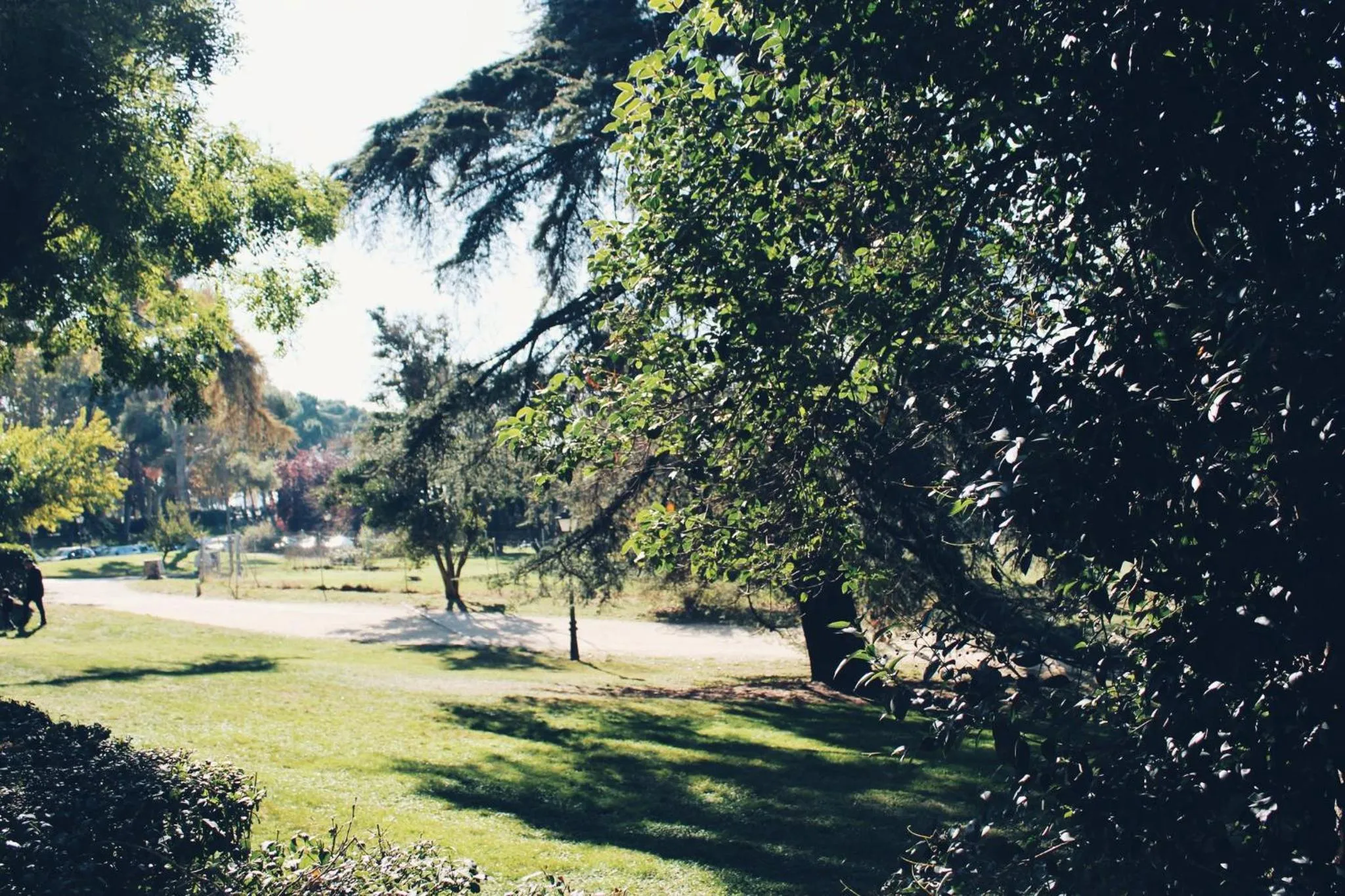 Nearby landmark in Hotel Indigo Madrid - Princesa by IHG