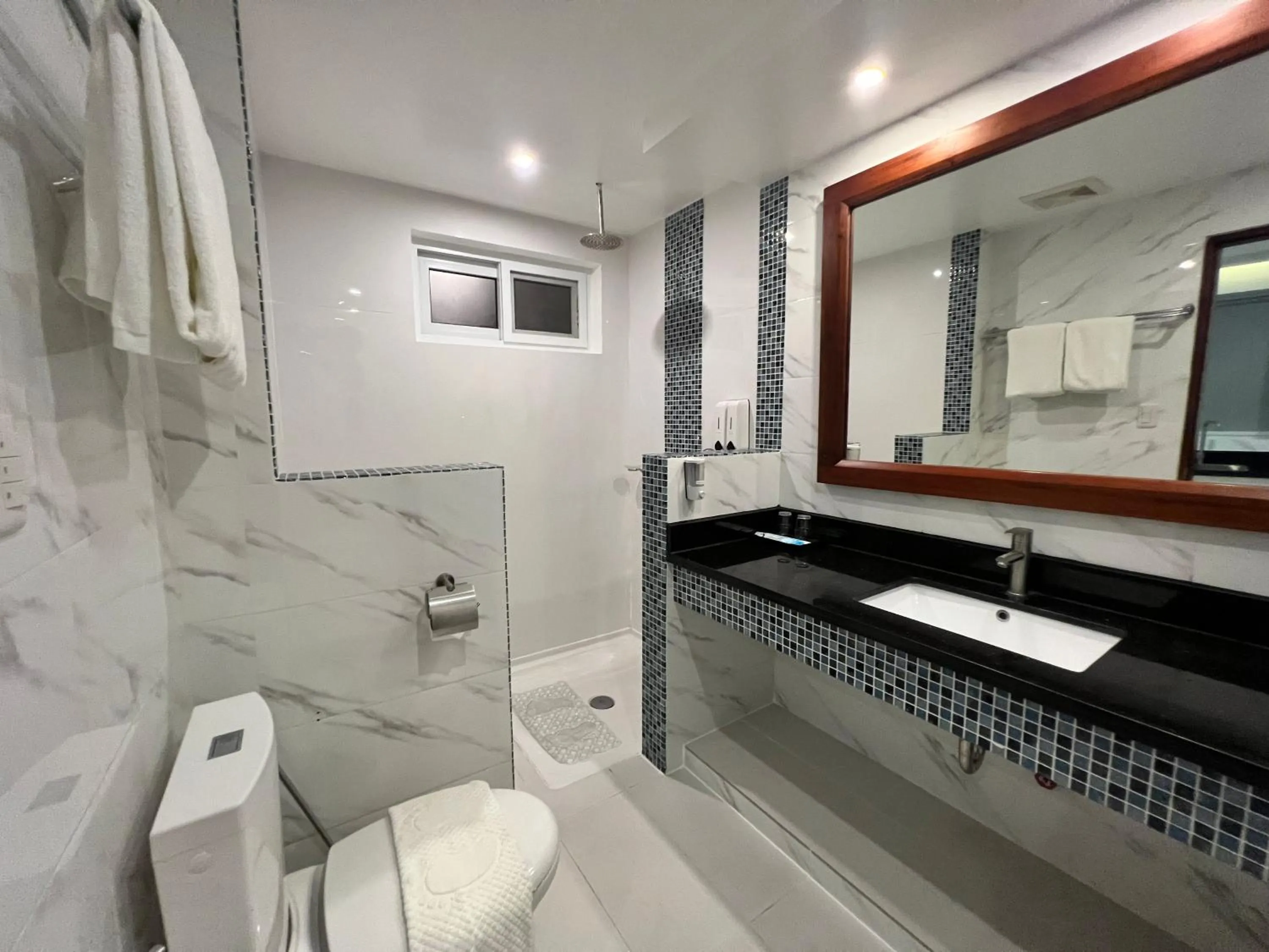 Toilet in Aira Boracay Hotel