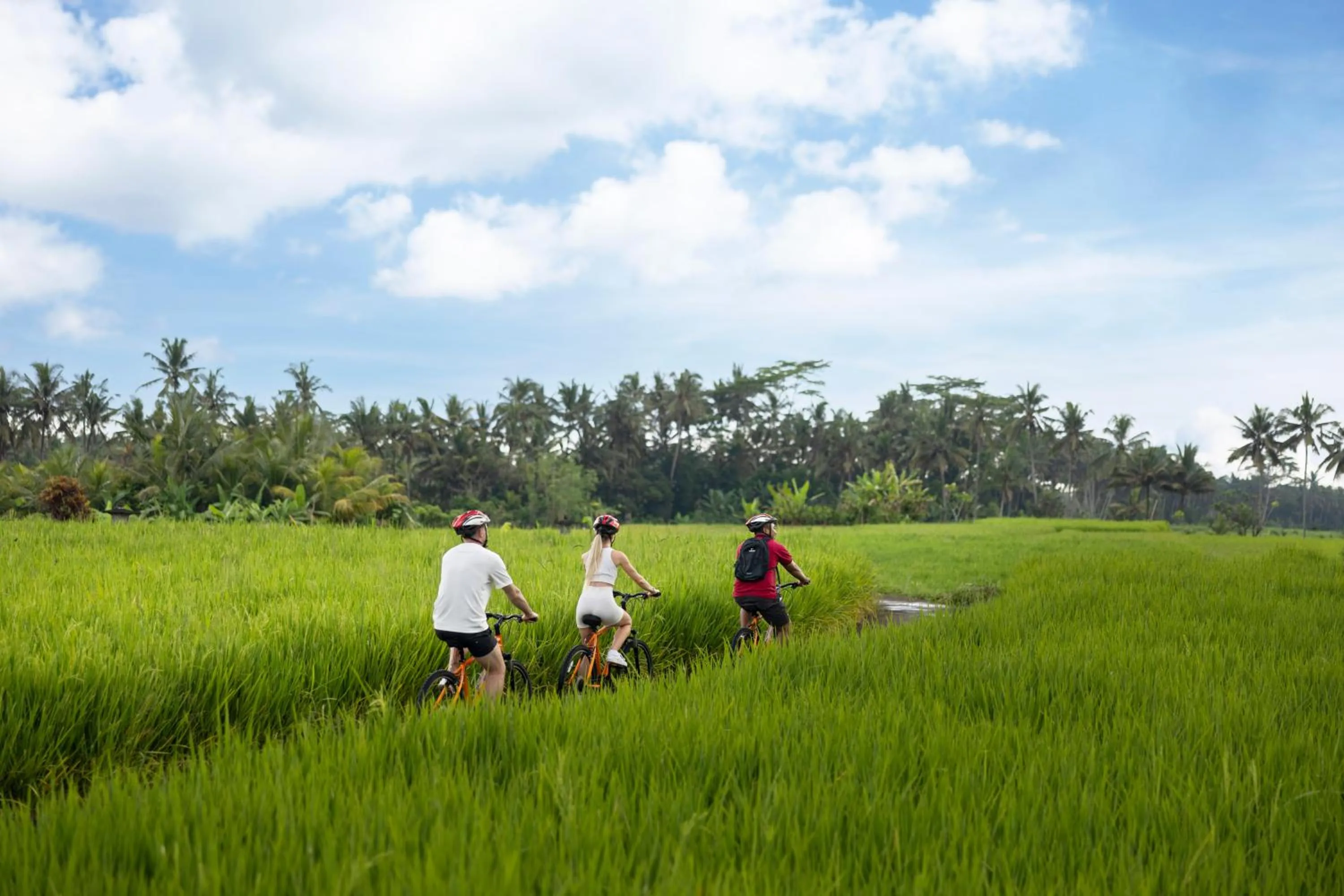 Activities in Anumana Village Ubud