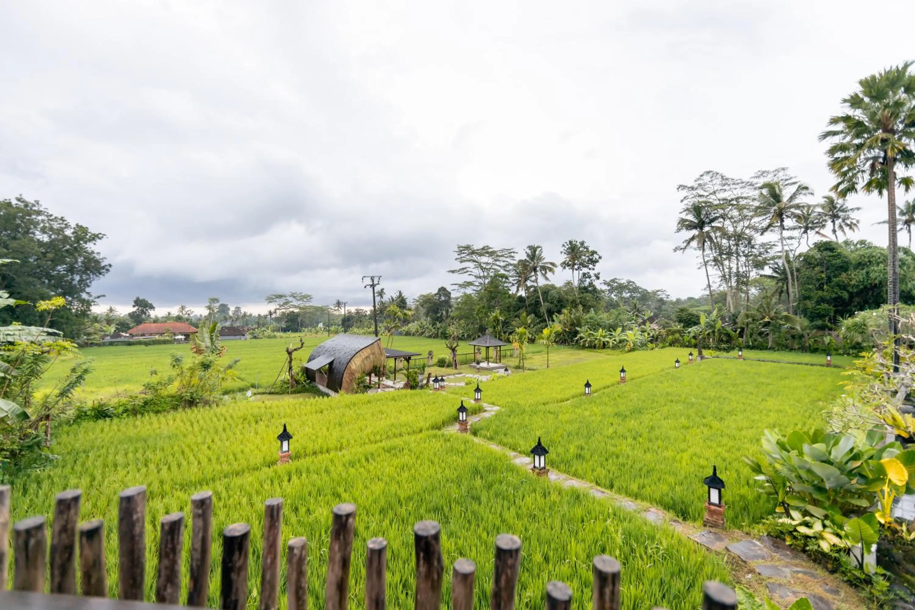 View (from property/room) in Anumana Village Ubud