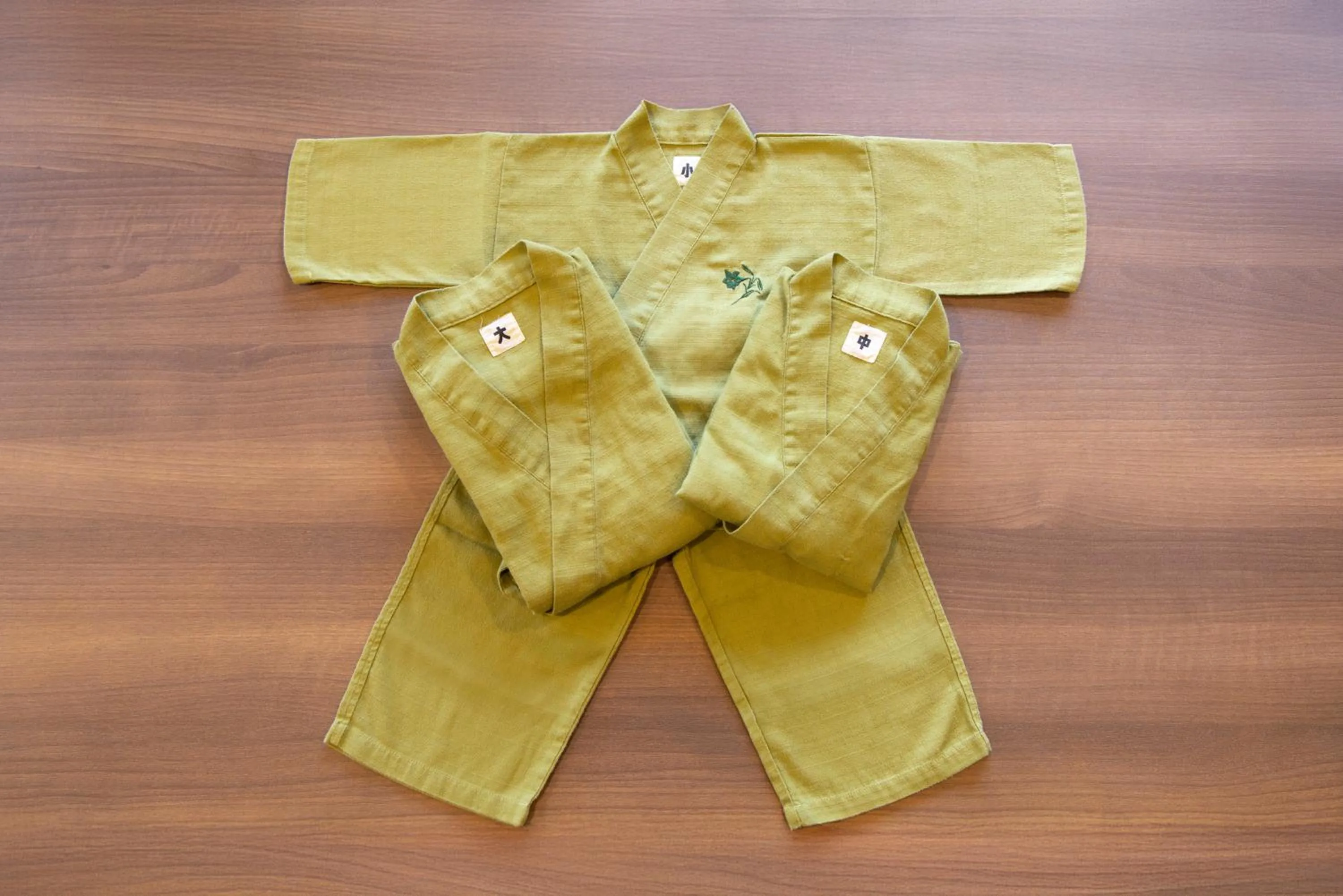 children in Hakone Kowakien Hotel