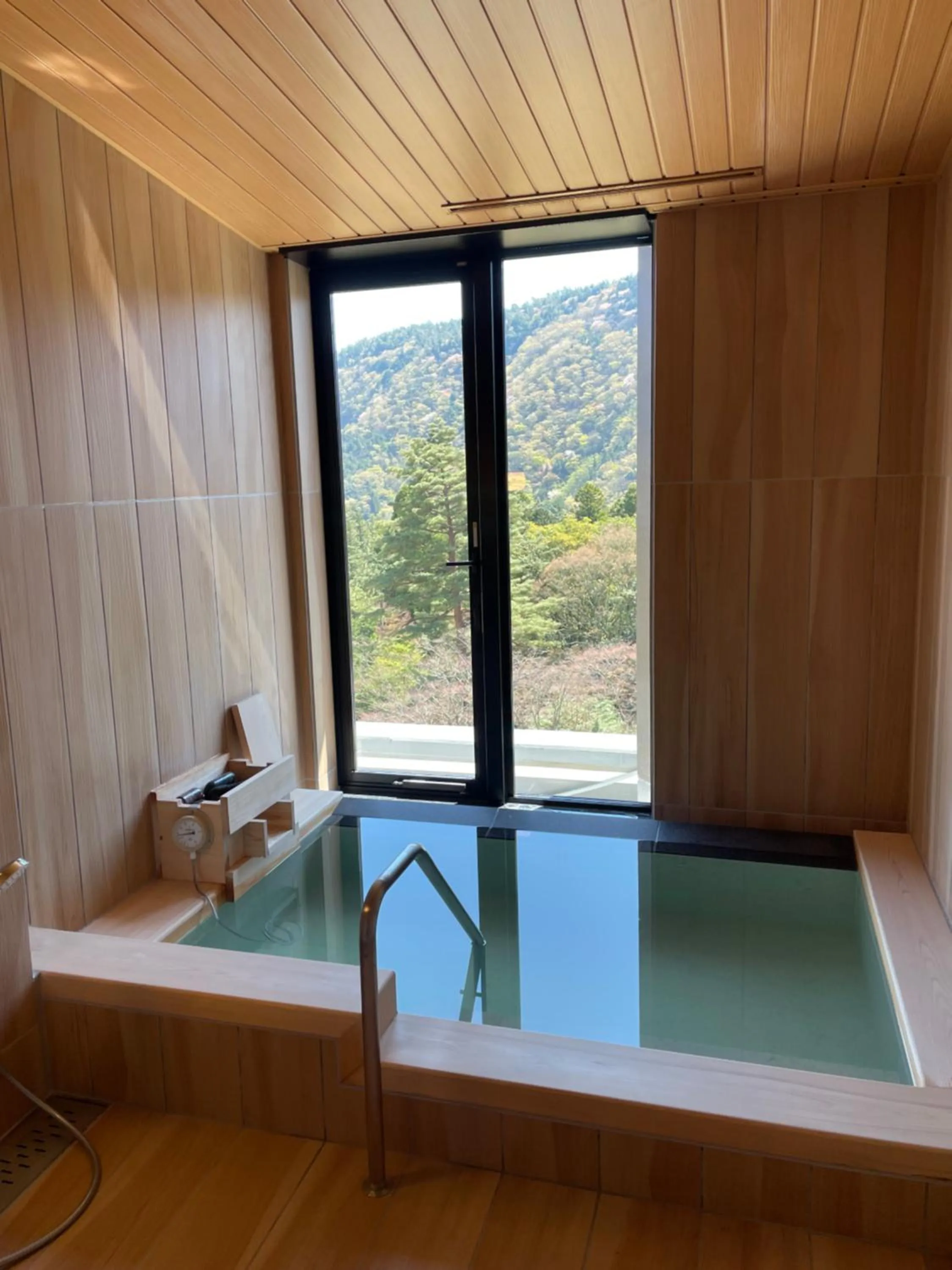 Hot Spring Bath in Hakone Kowakien Hotel