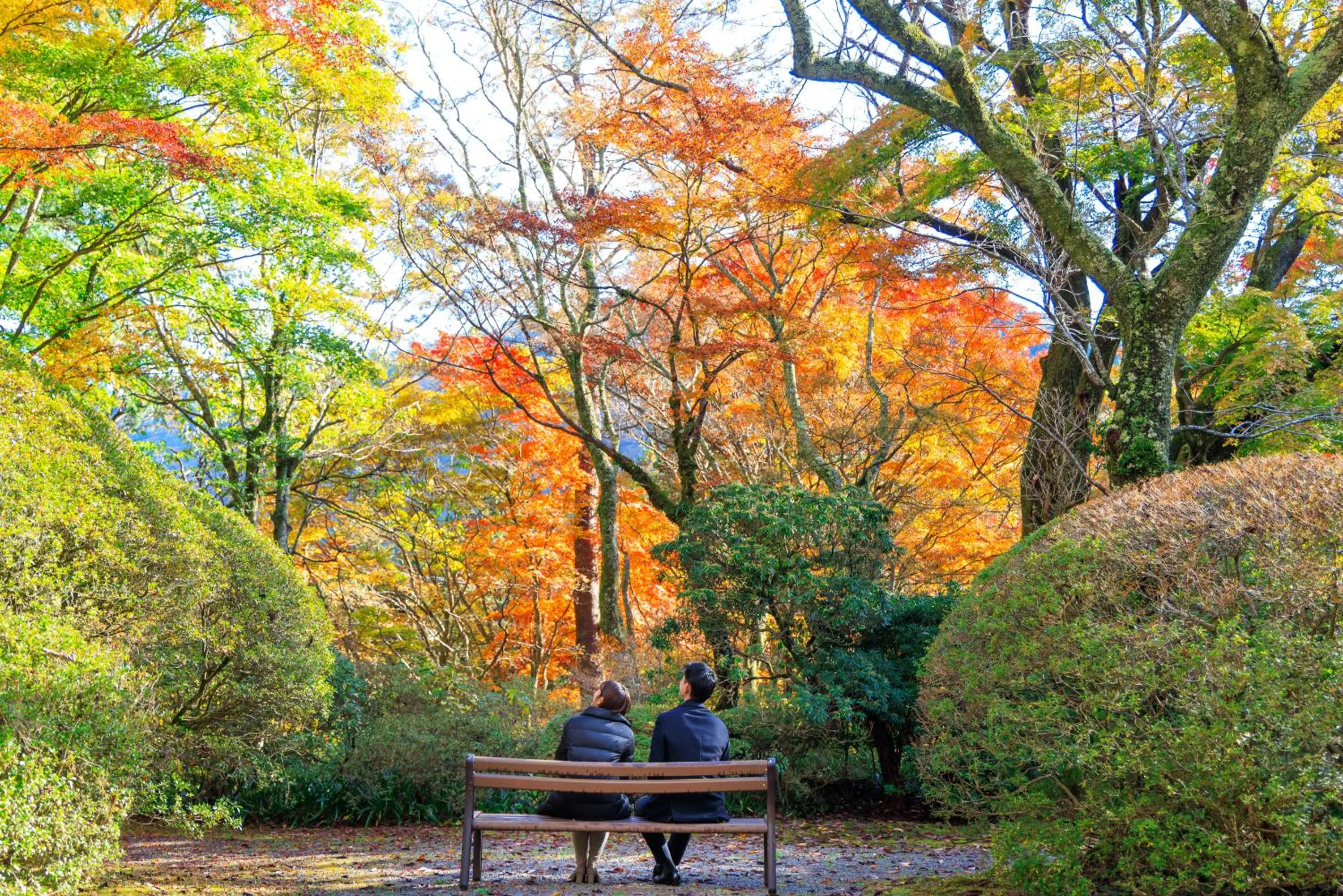 Nearby landmark in Hakone Kowakien Hotel