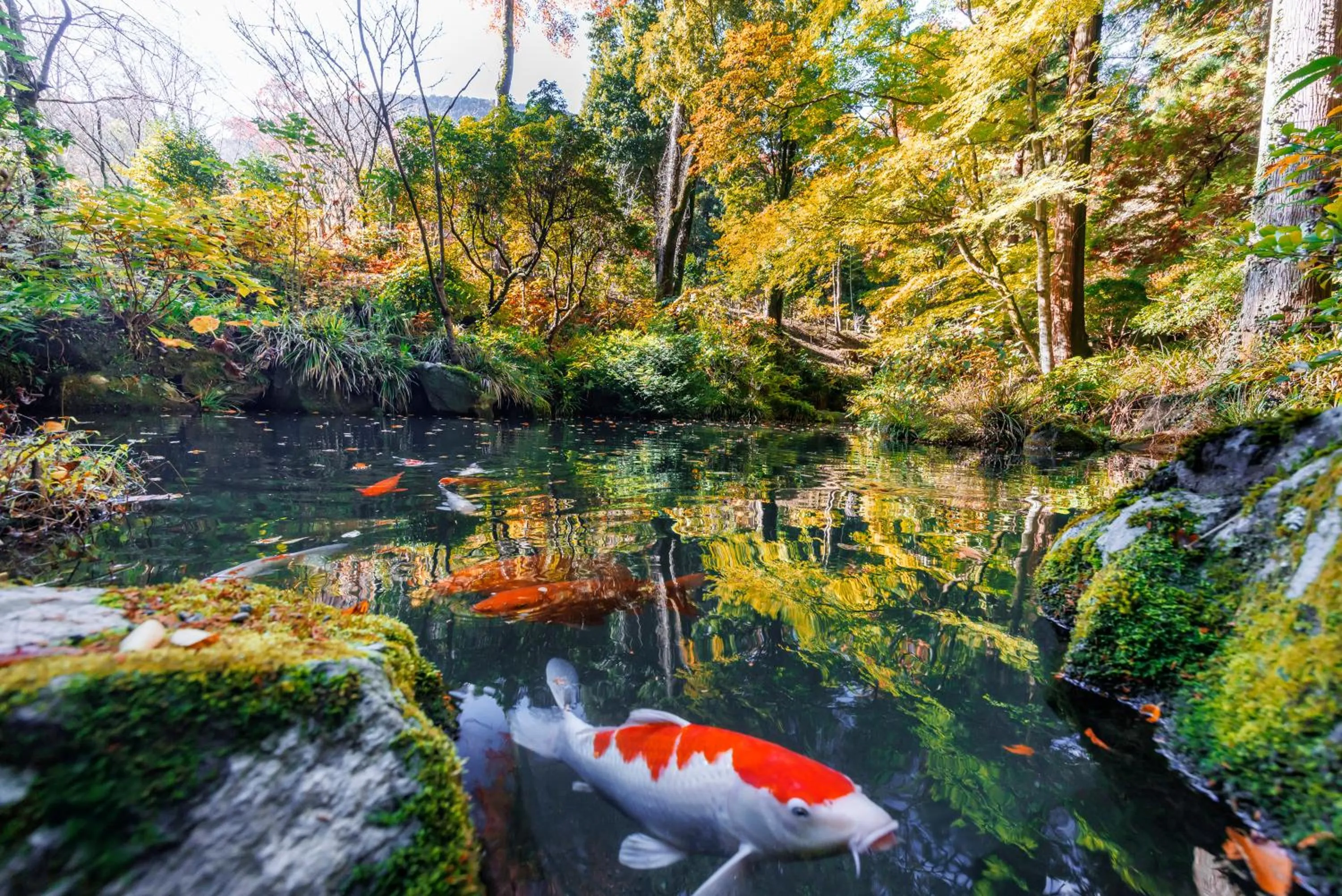 Day in Hakone Kowakien Hotel