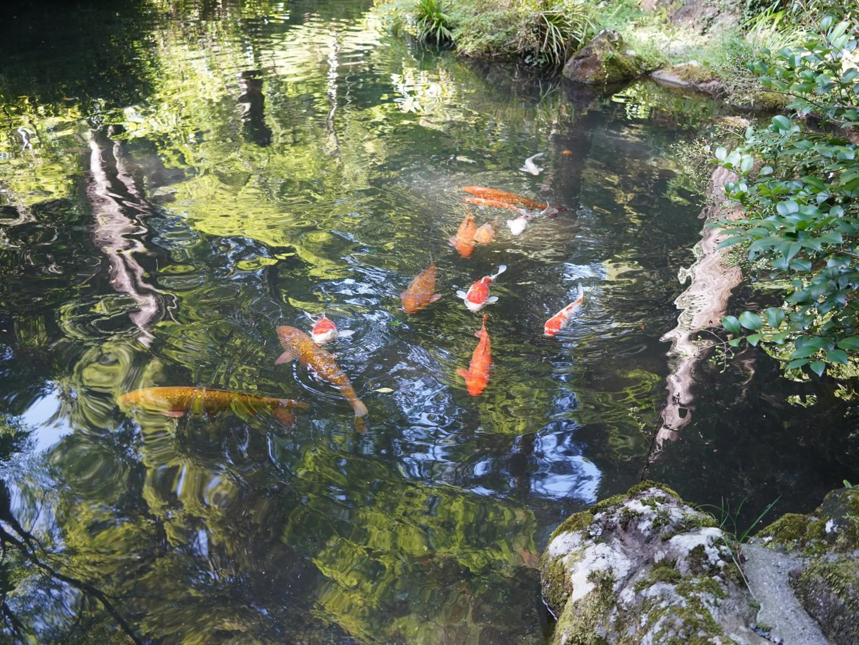 Natural landscape in Hakone Kowakien Hotel