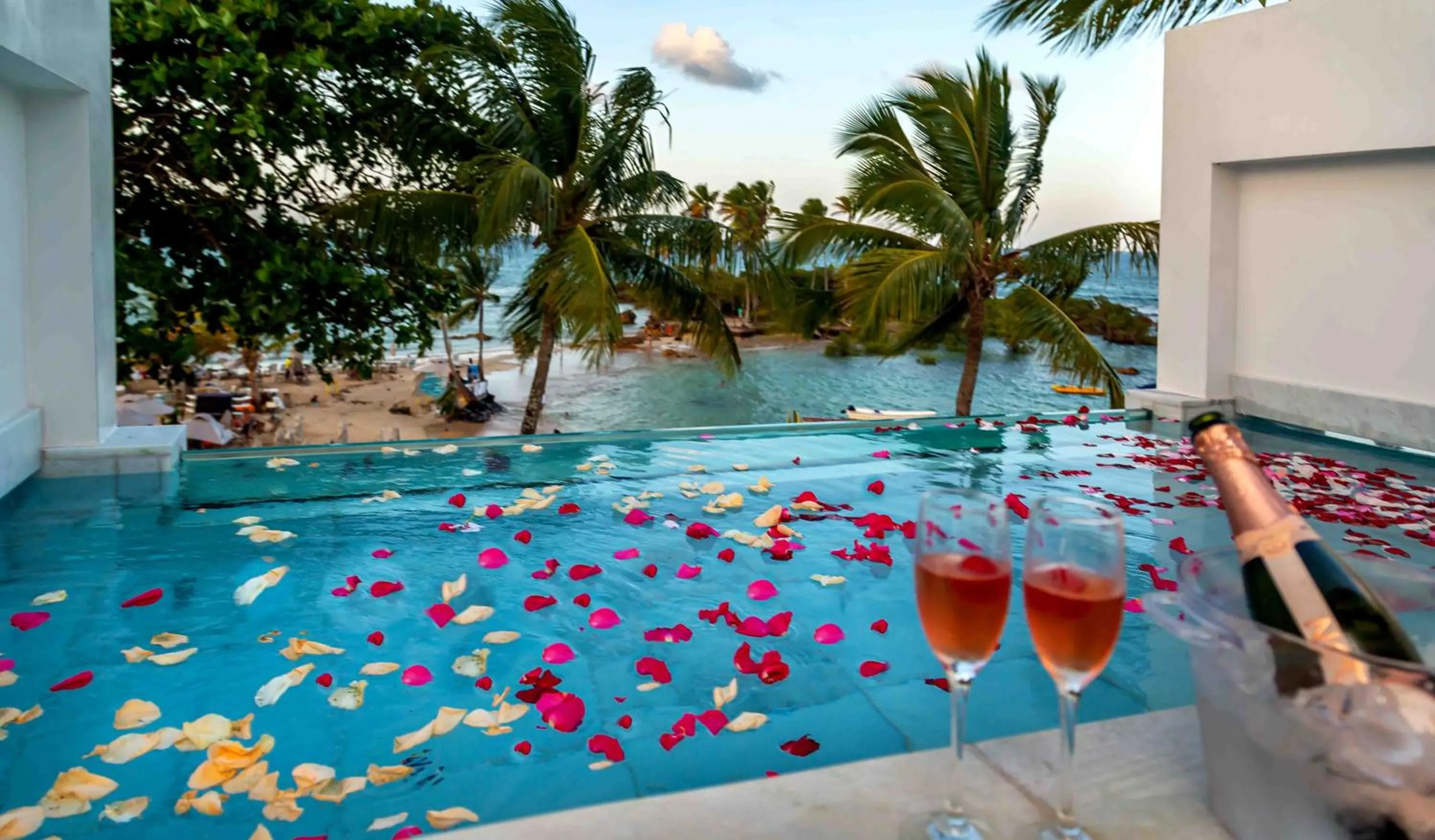 Other in Aqua by Sambass