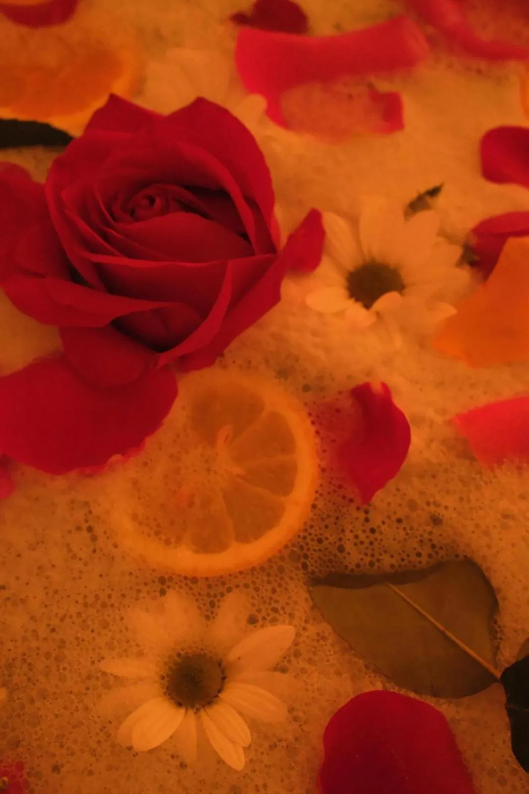 Finca Hotel Rural Es Turó Spa