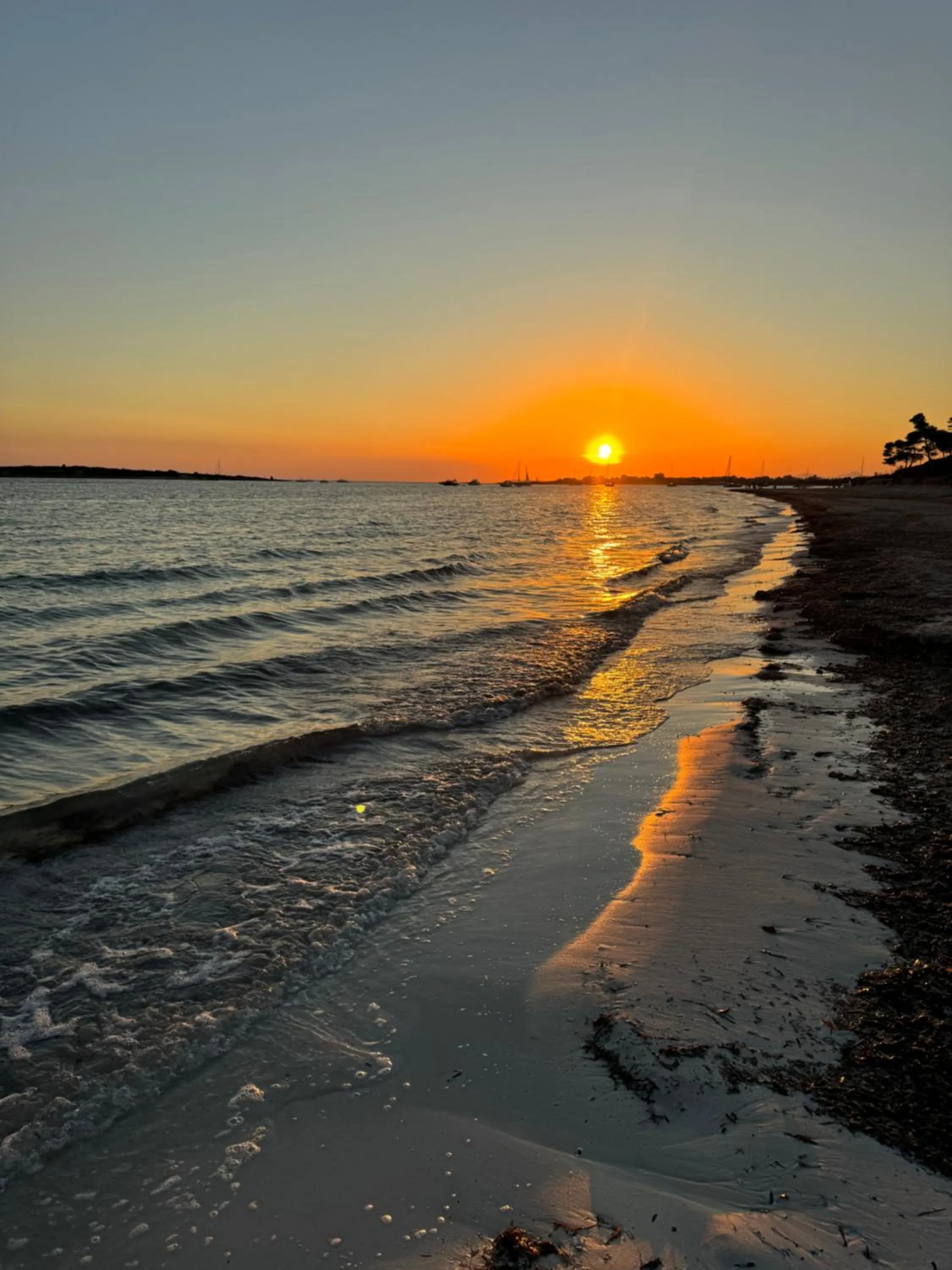 Beach in Finca Hotel Rural Es Turó
