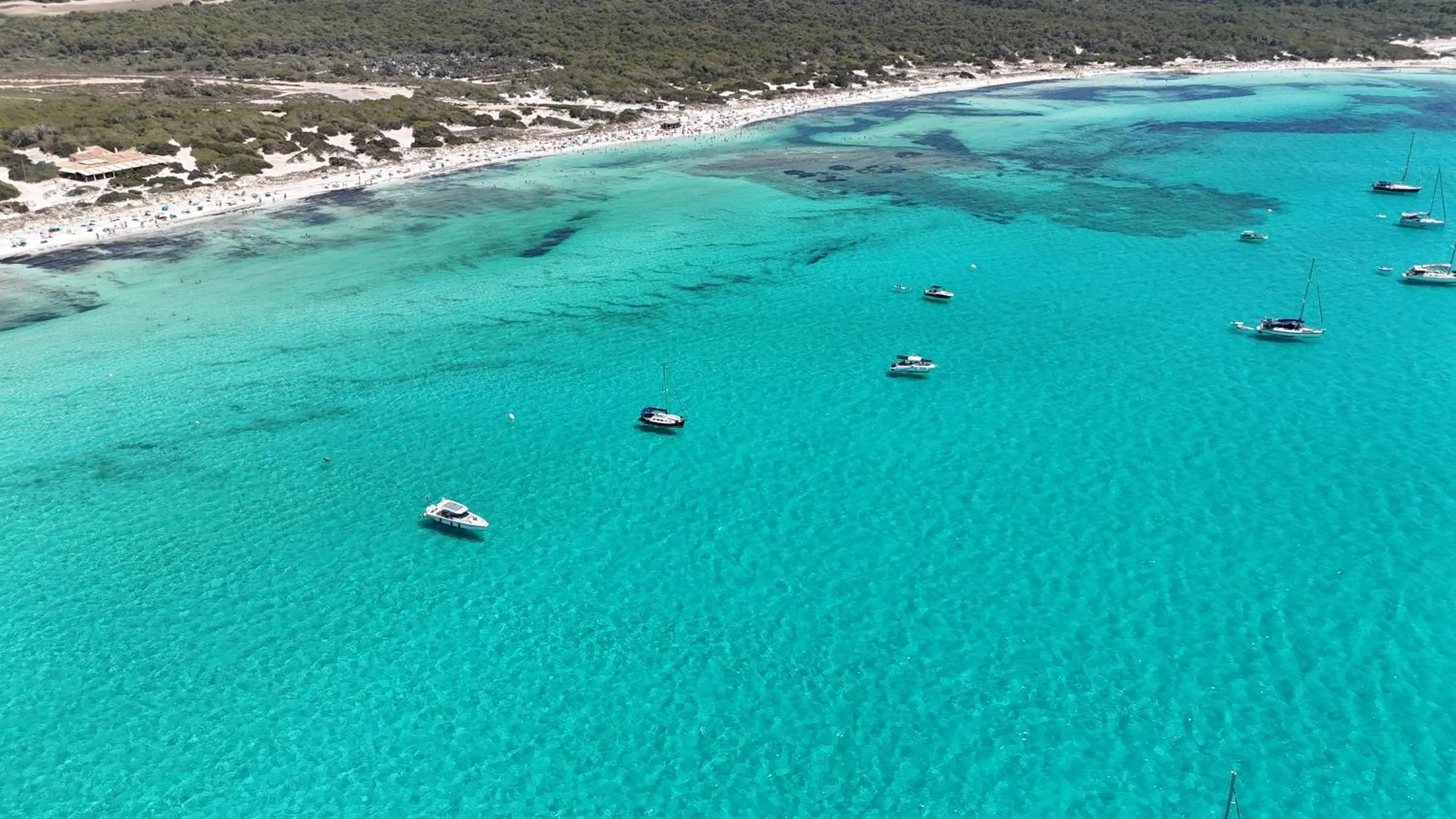 Beach in Finca Hotel Rural Es Turó