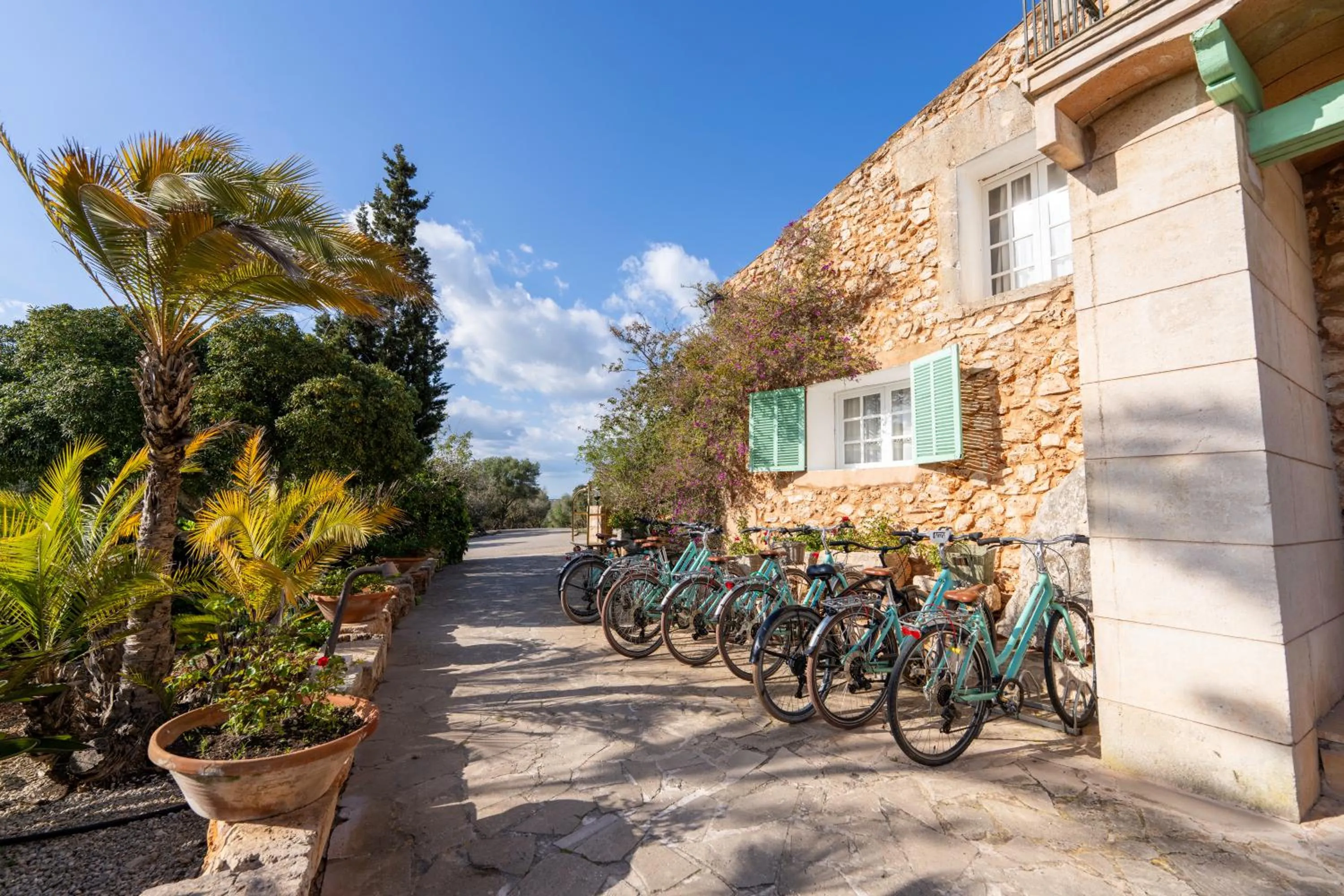 Activities in Finca Hotel Rural Es Turó