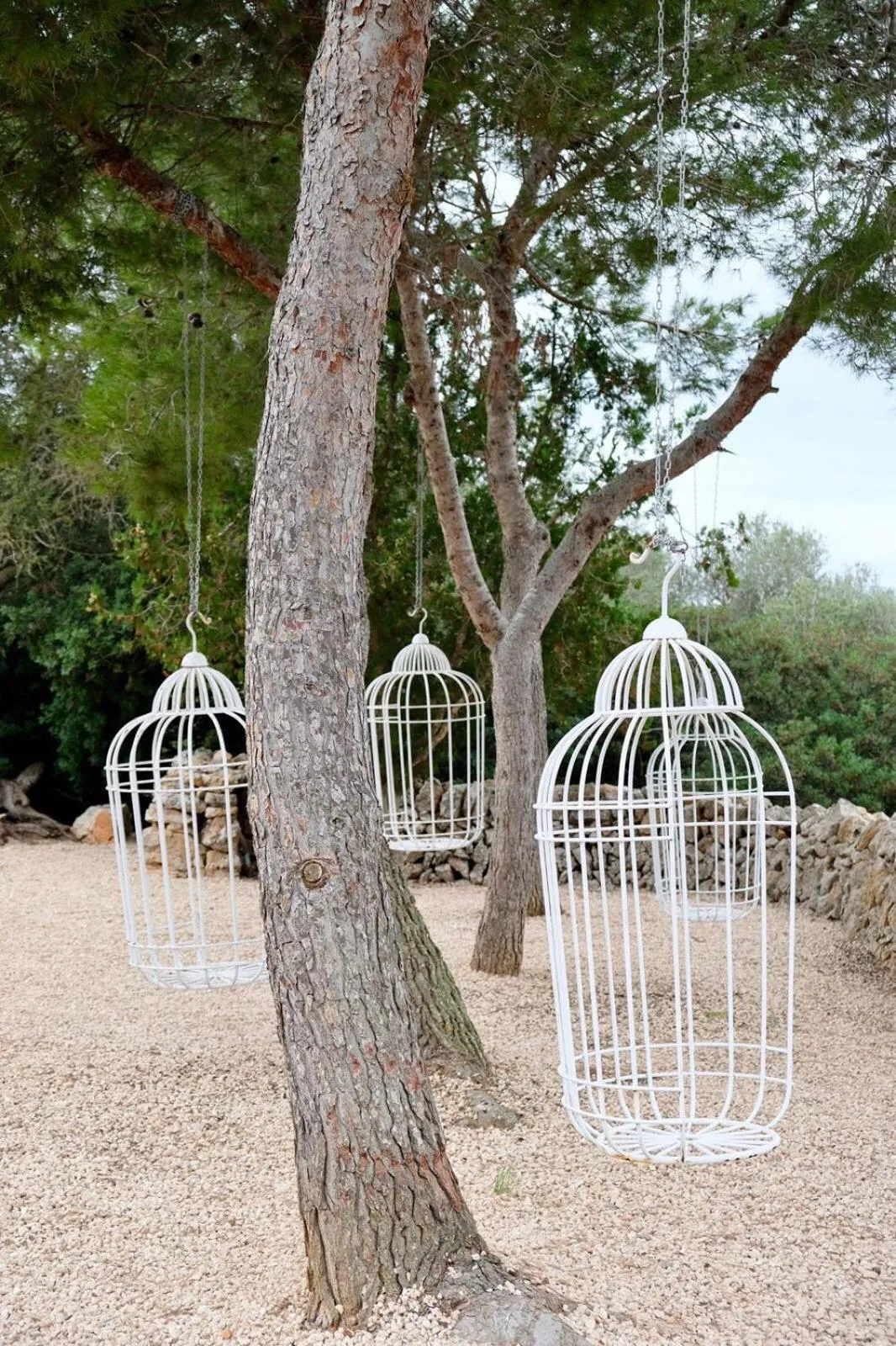 Garden in Finca Hotel Rural Es Turó