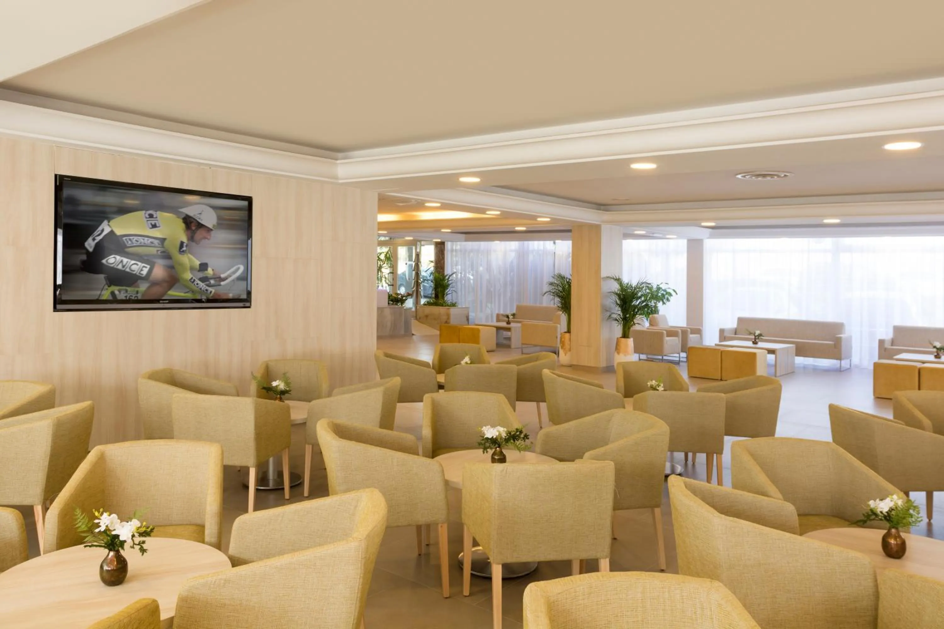 Communal lounge/ TV room in HSM Don Juan