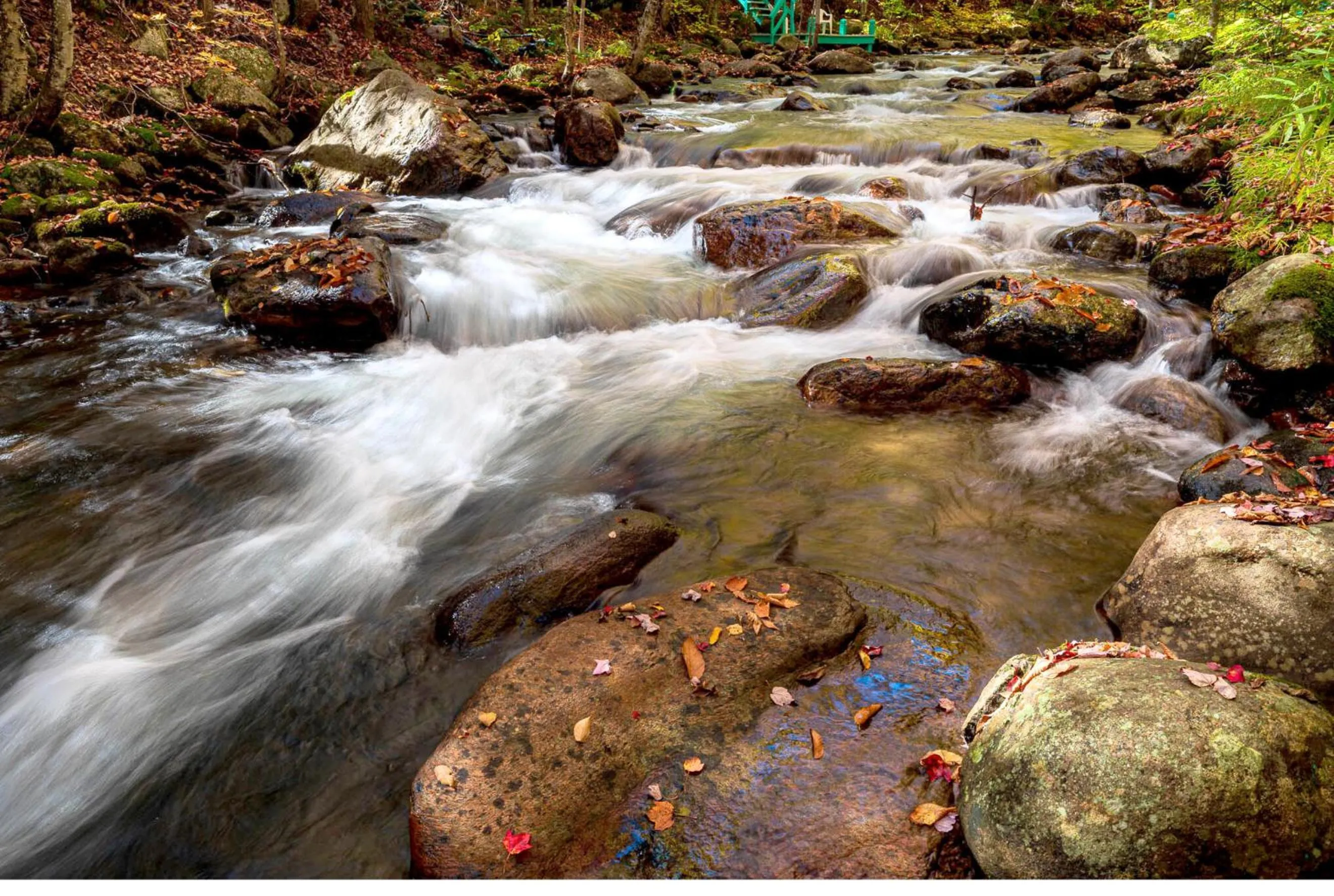 Domaine Rivière Sacacomie Chalets et Bed and Breakfast -Manoir Canergie