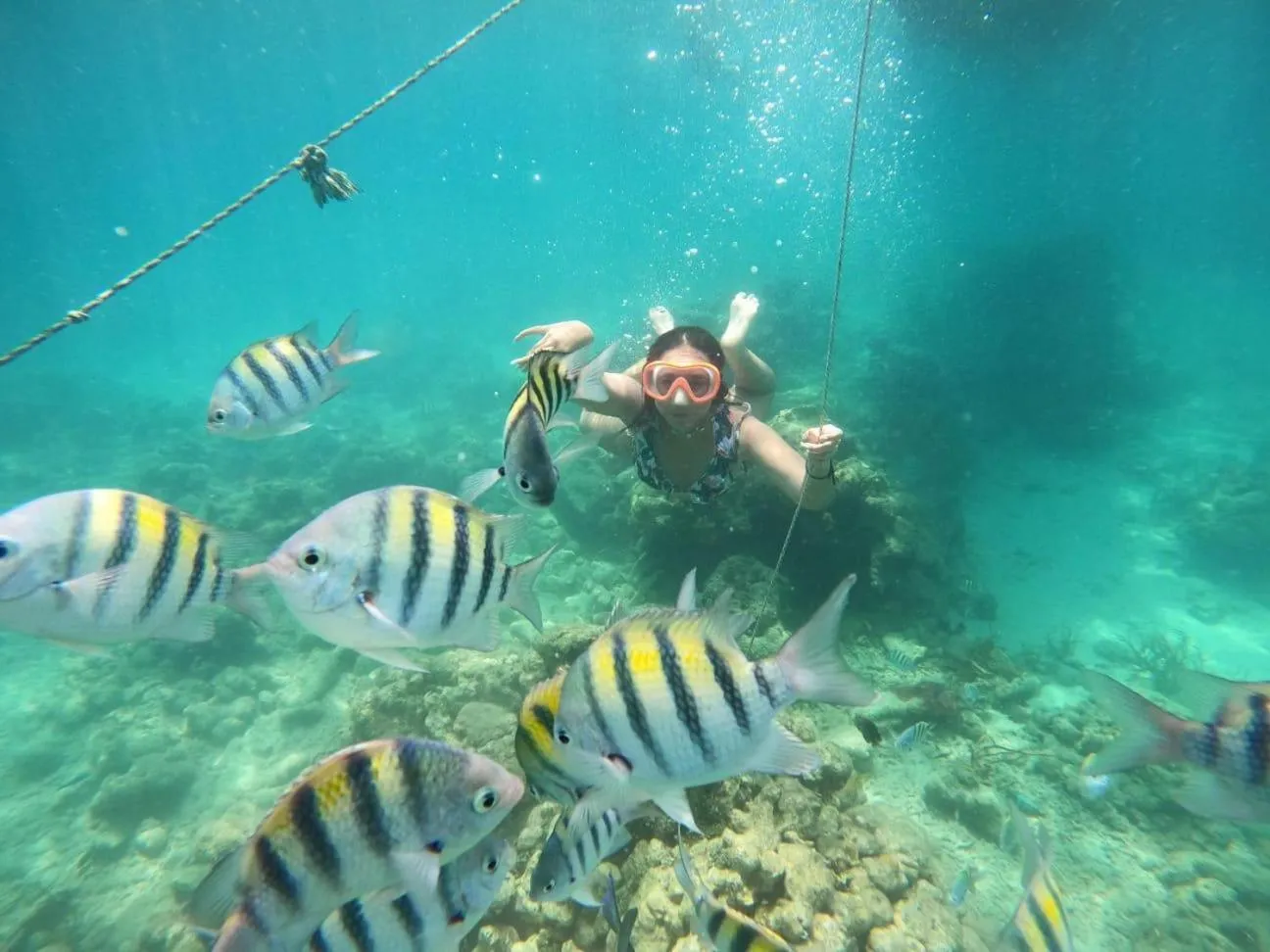 Natural landscape in Cristal Blue Barú