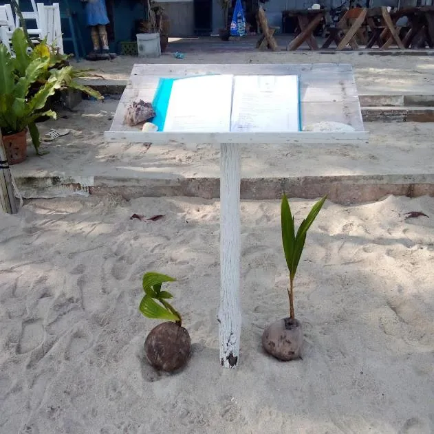 Restaurant/places to eat in Thong Nai Pan Beach Resort