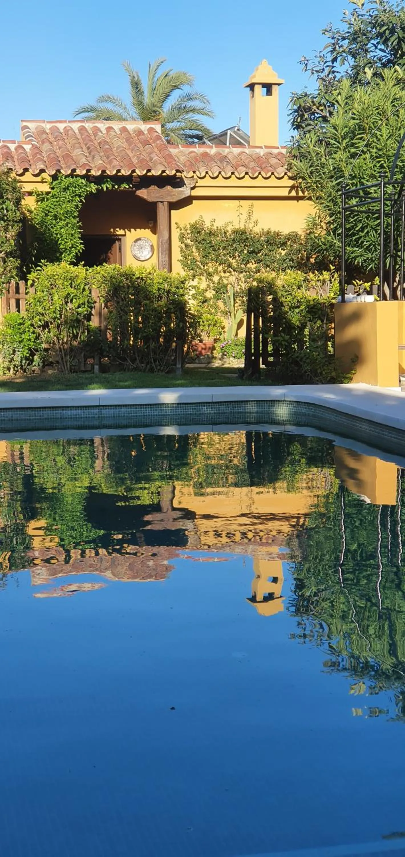 Pool view in Family hotel Al- Ana Marbella
