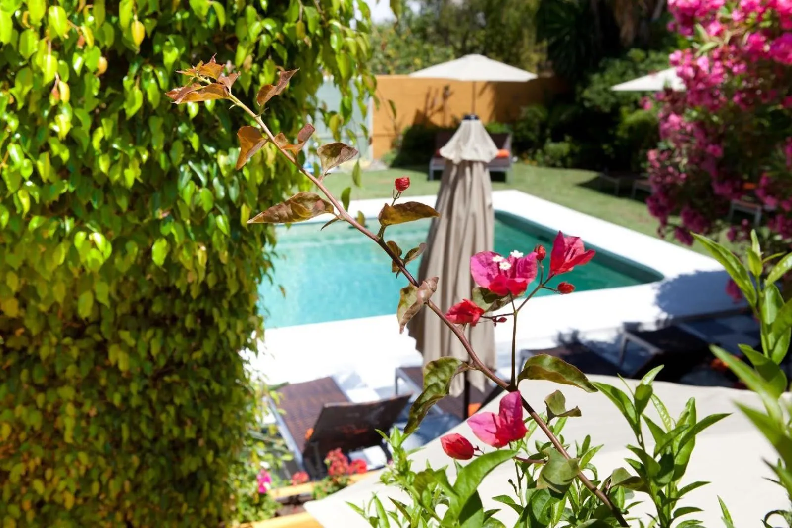 Swimming pool in Family hotel Al- Ana Marbella