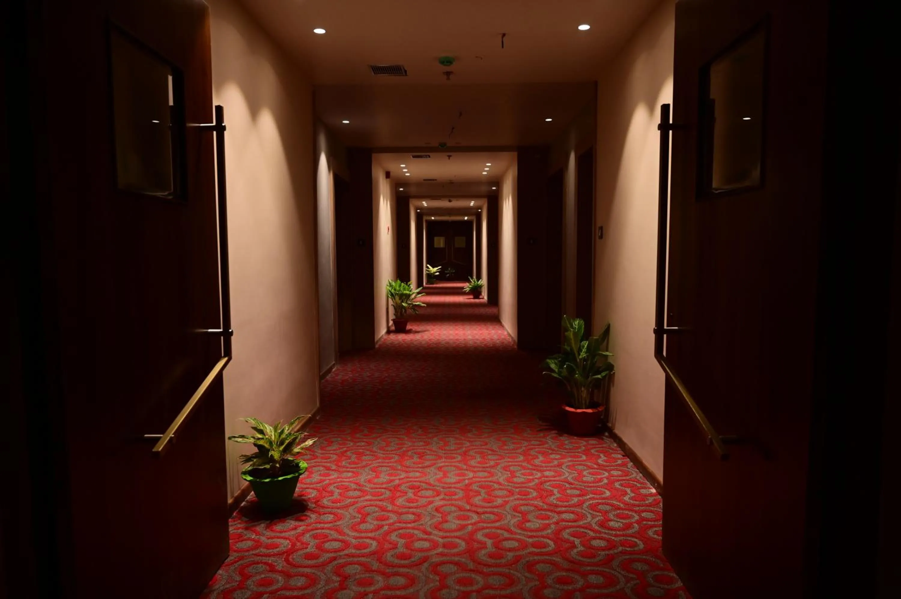 Property building in PIPUL PADMAJA PRIDE