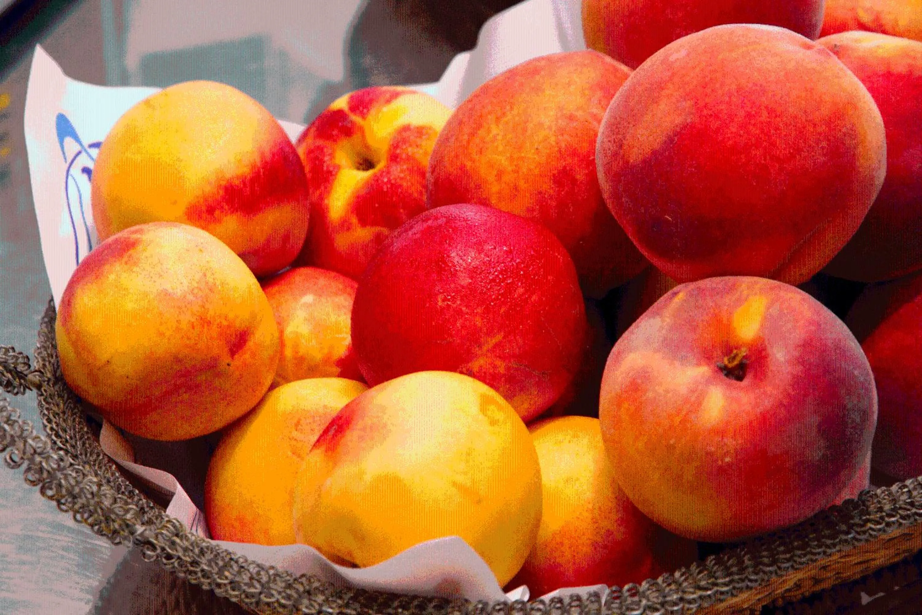 Food in Tortosa Parc