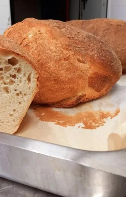 Food in HOTEL CONCORDE