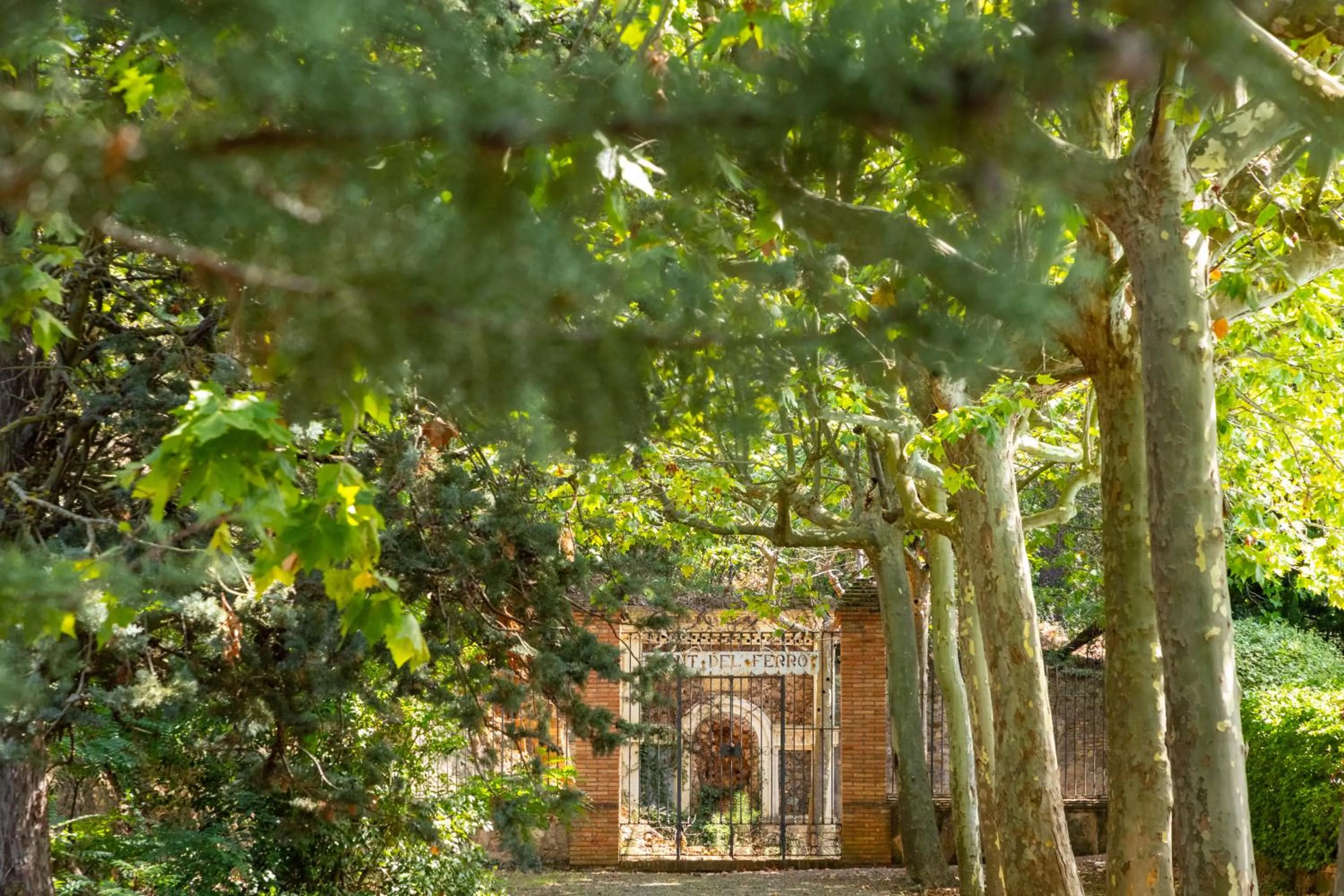Garden in Hotel Rural y Apartamentos Villa Engracia
