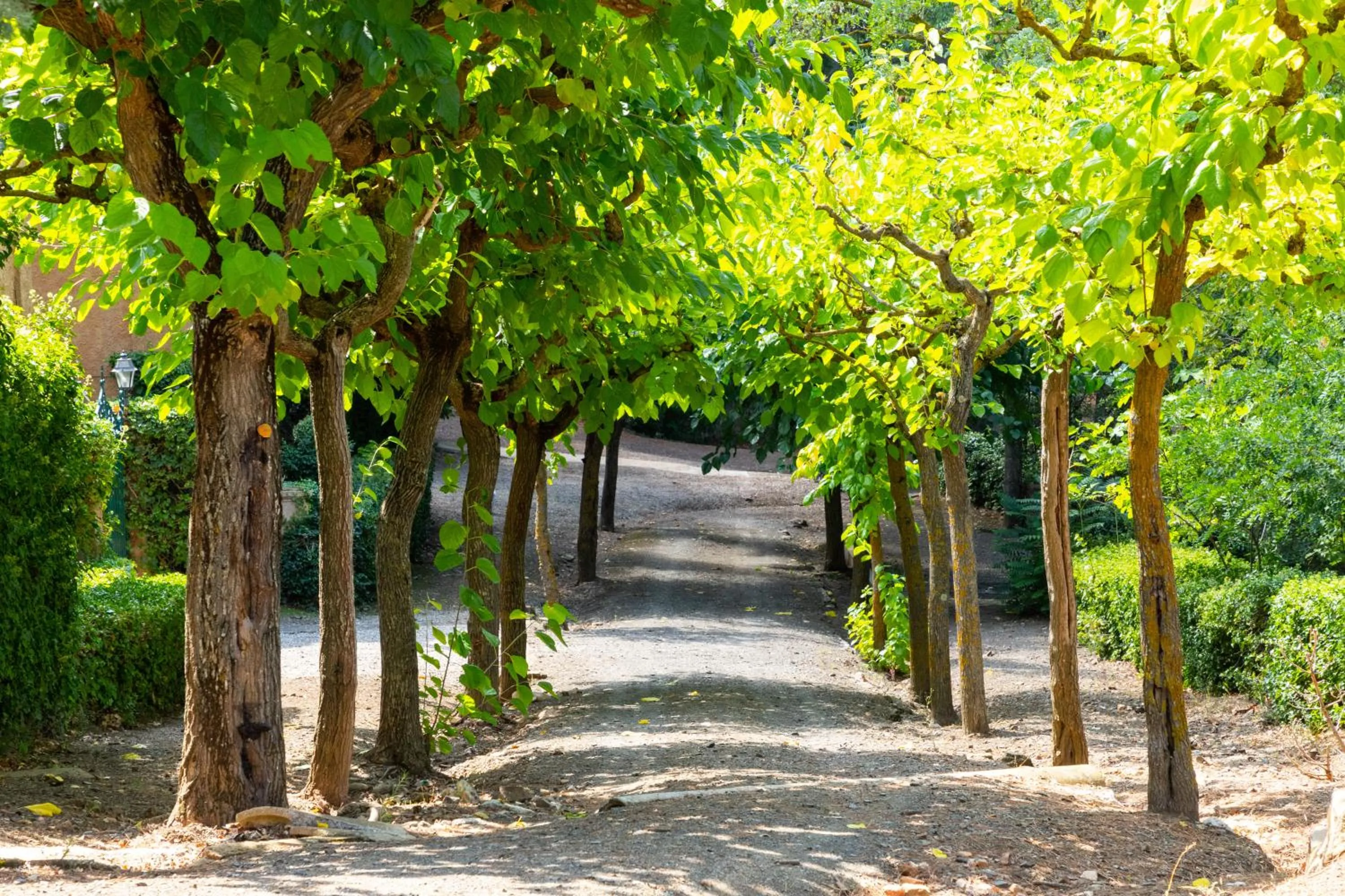 Garden in Hotel Rural y Apartamentos Villa Engracia