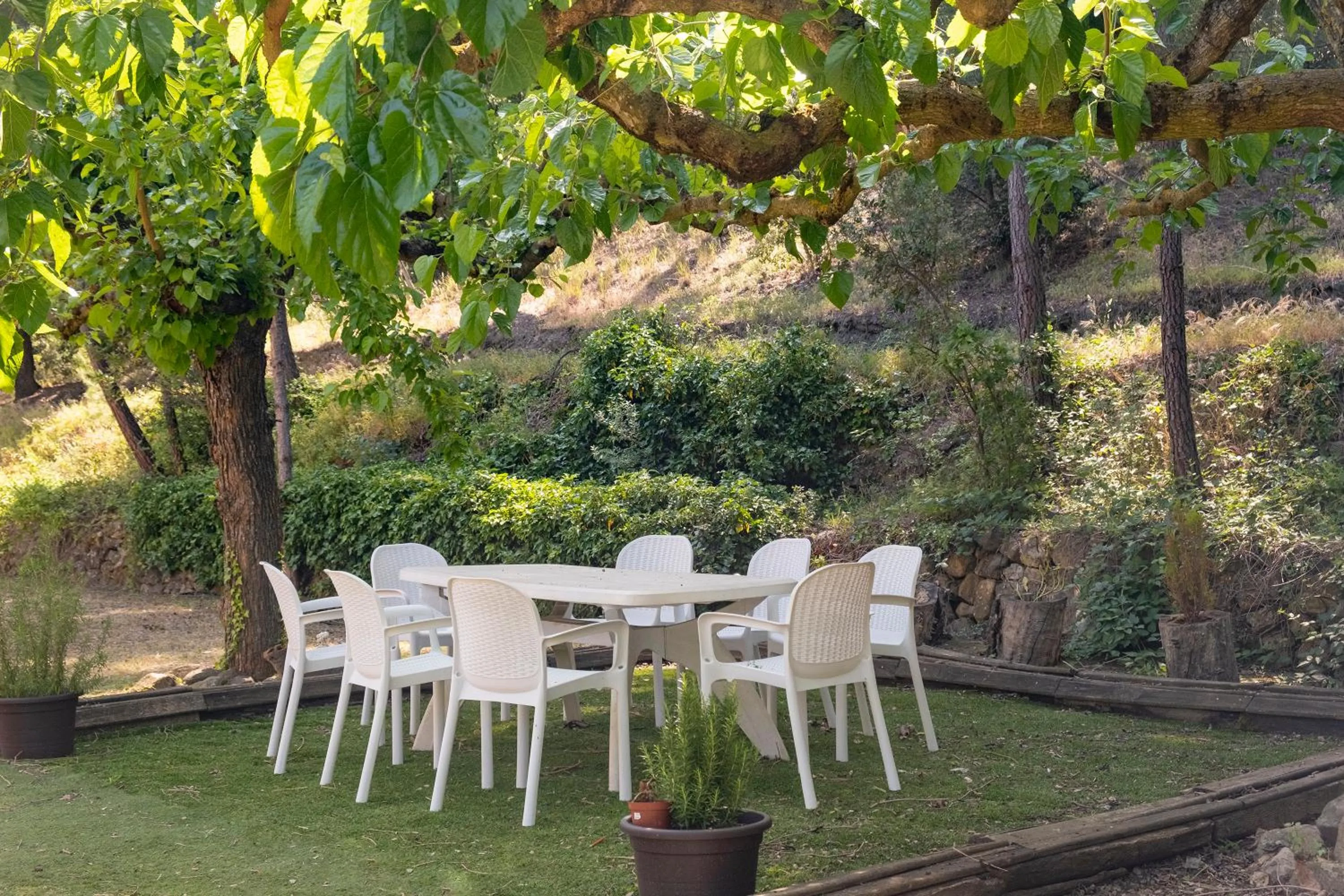 Garden in Hotel Rural y Apartamentos Villa Engracia