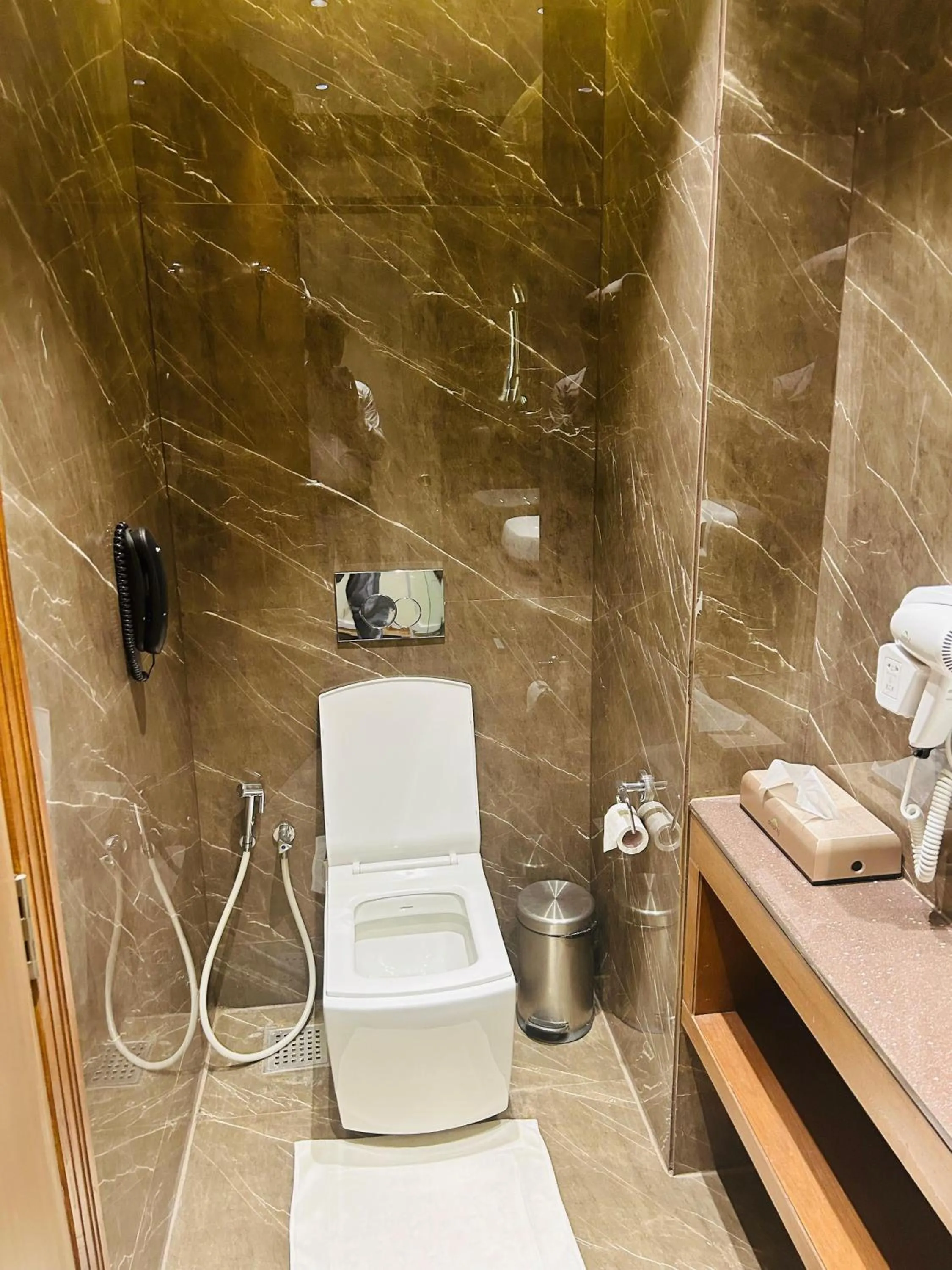 Bathroom in Sayaji Morbi