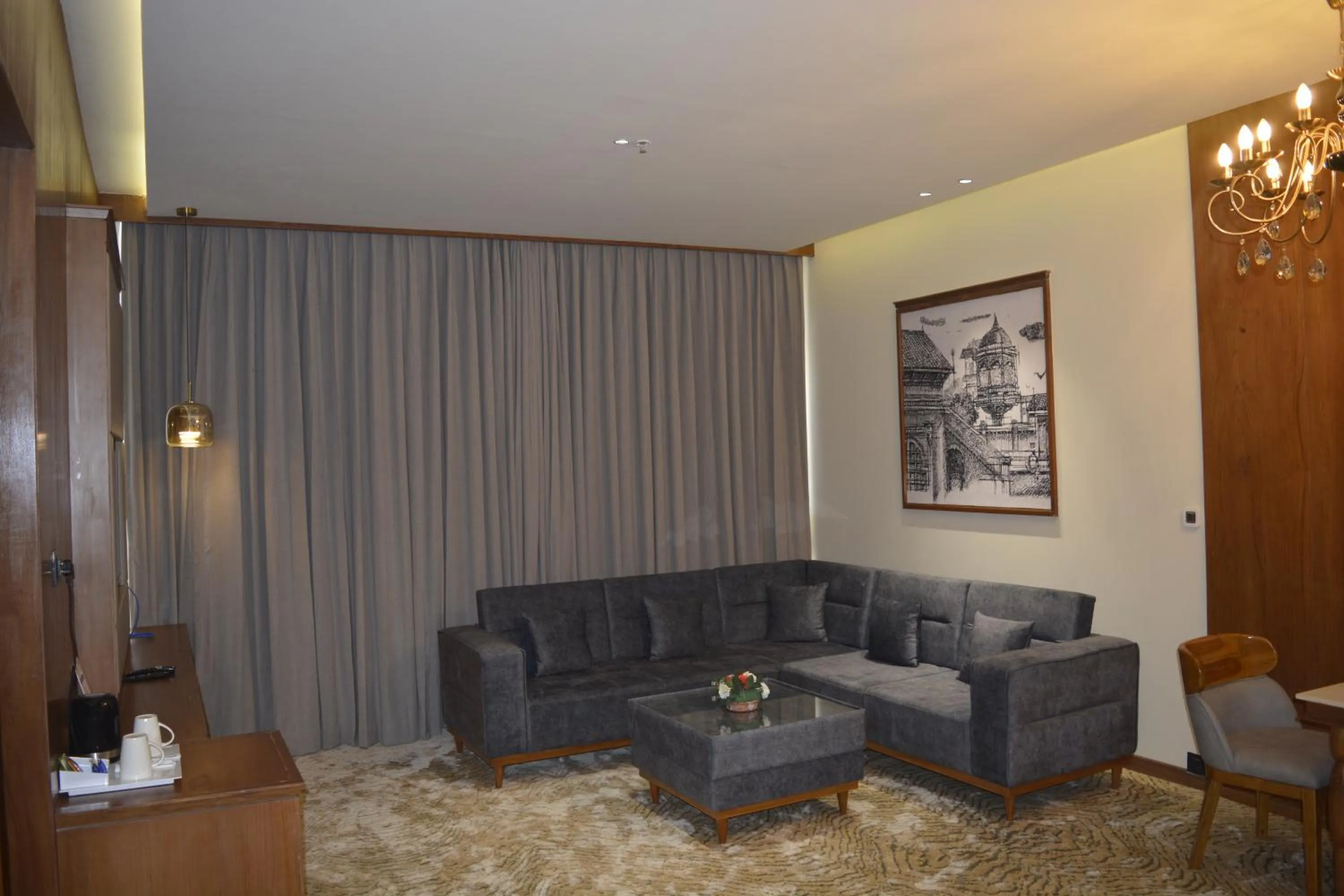 Living room in Sayaji Morbi