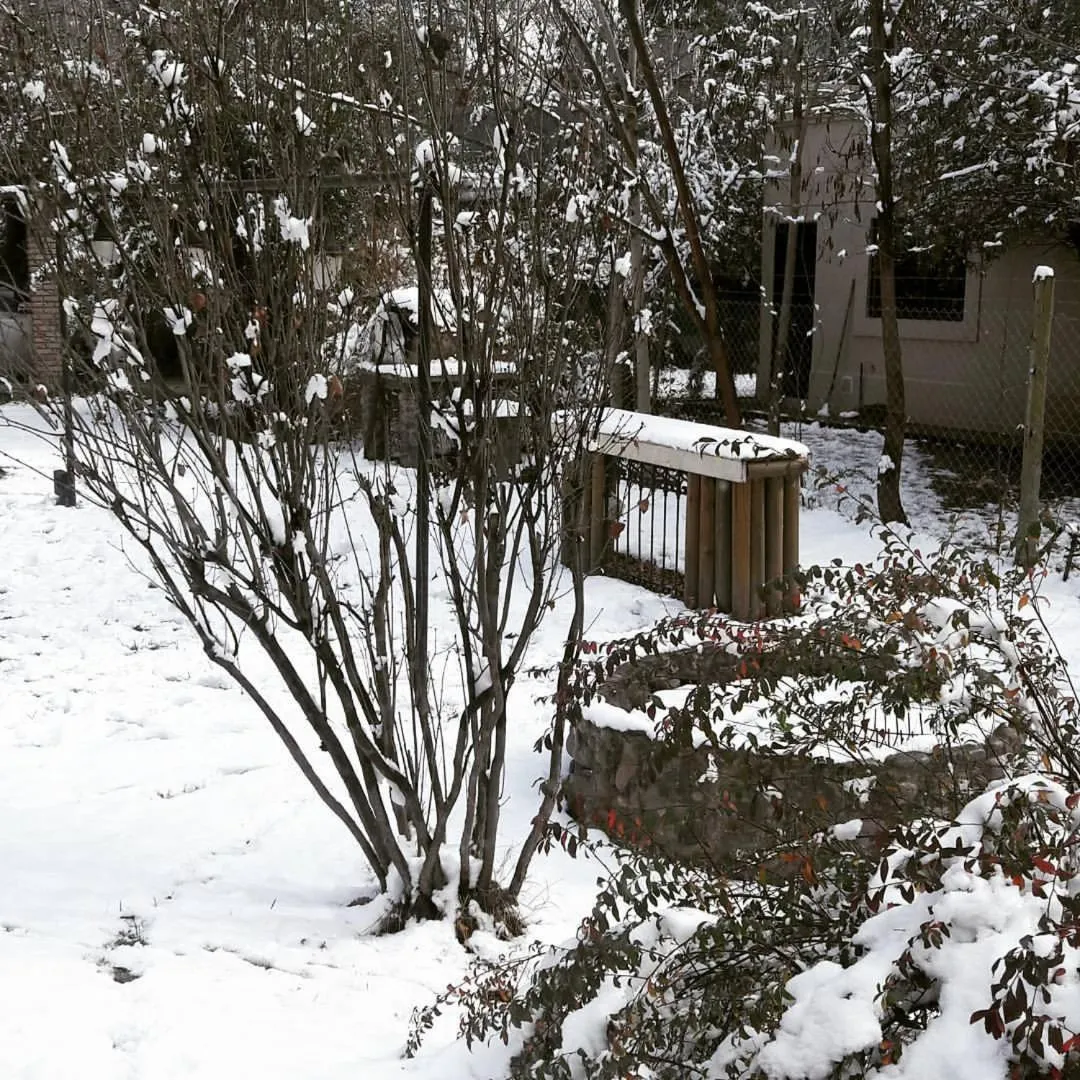 Natural landscape in Holiday Home Mendoza Leisure Time