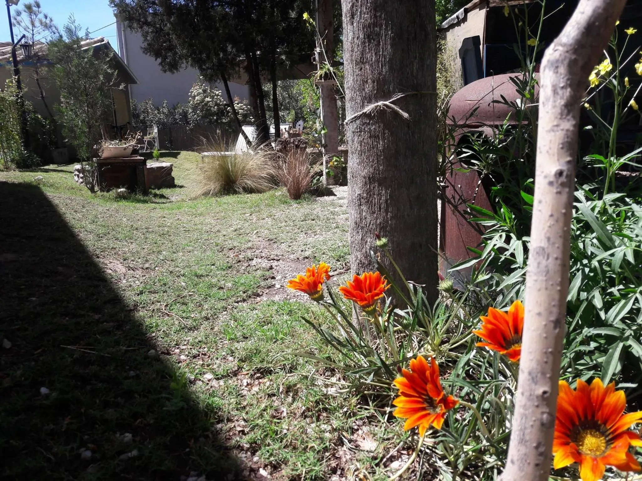 Natural landscape in Holiday Home Mendoza Leisure Time