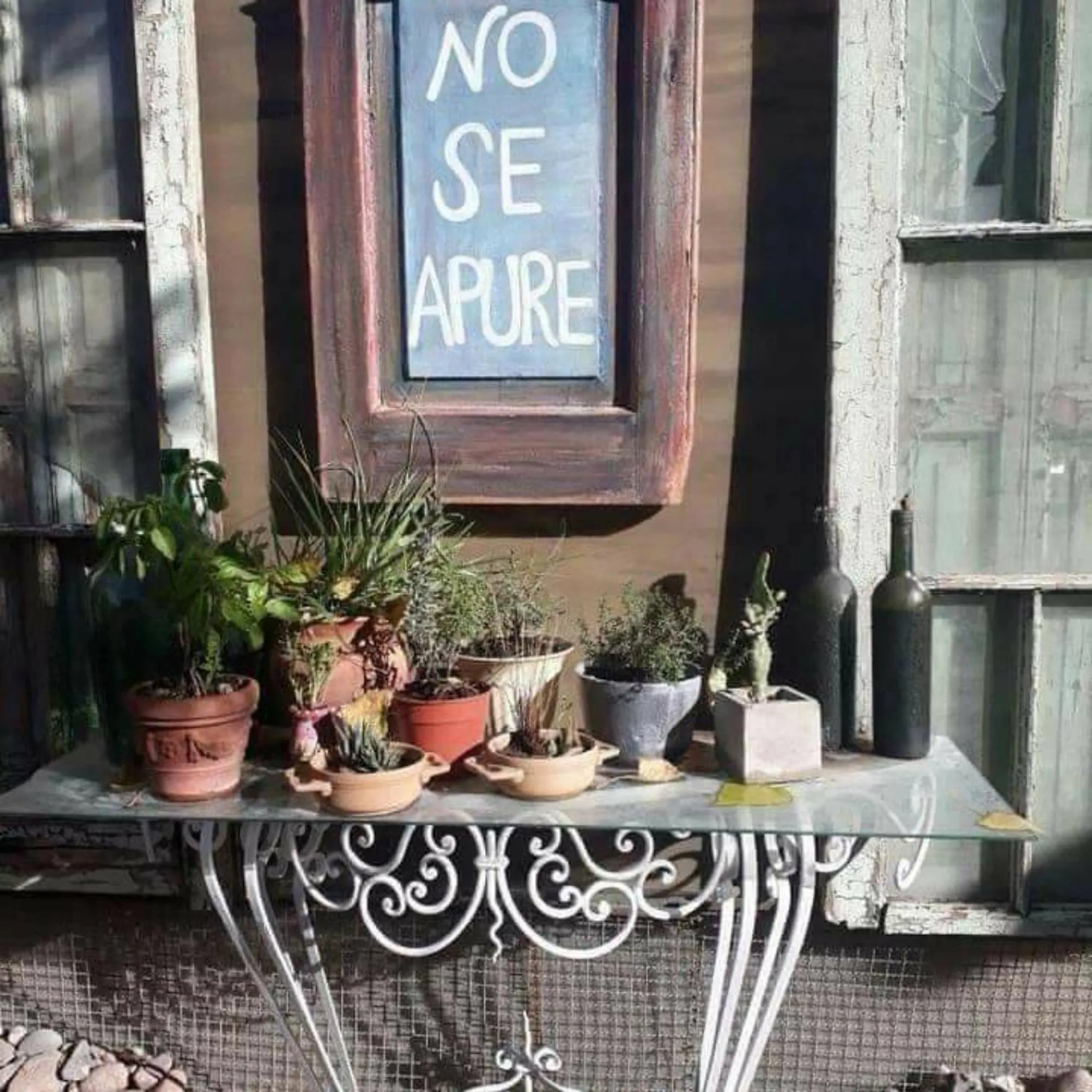 Natural landscape in Holiday Home Mendoza Leisure Time