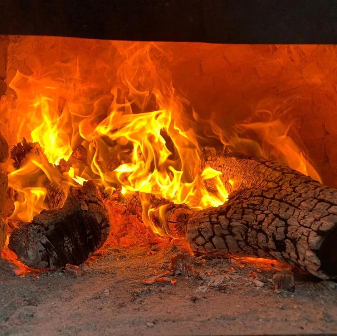 BBQ facilities in Holiday Home Mendoza Leisure Time