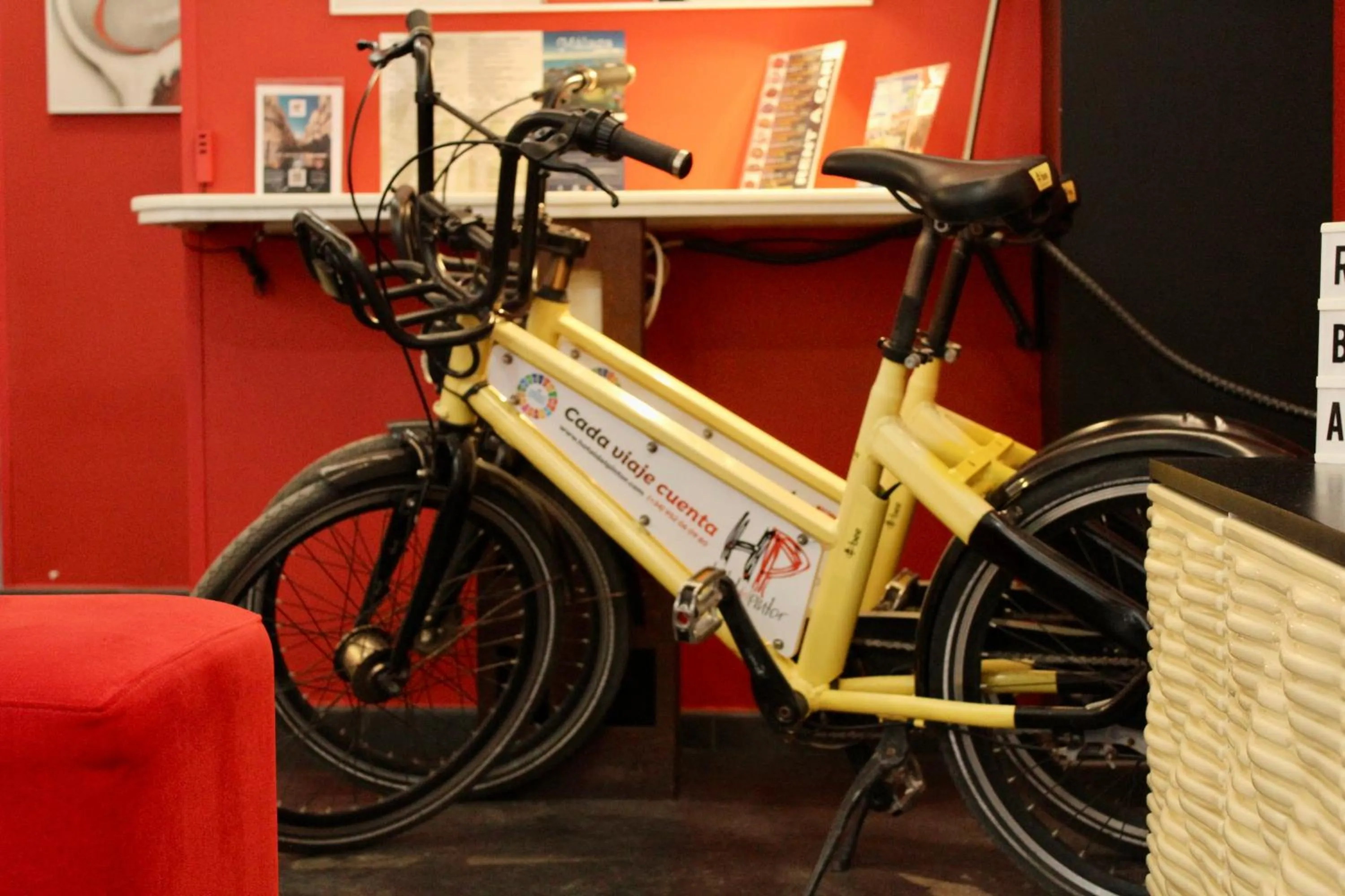 Activities in Hotel Del Pintor