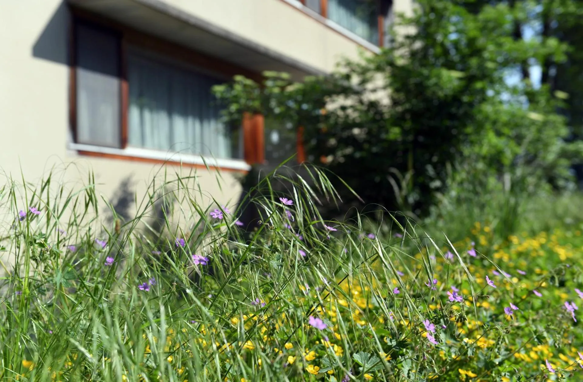 Property building in Hôtel Domaine de la Sauge