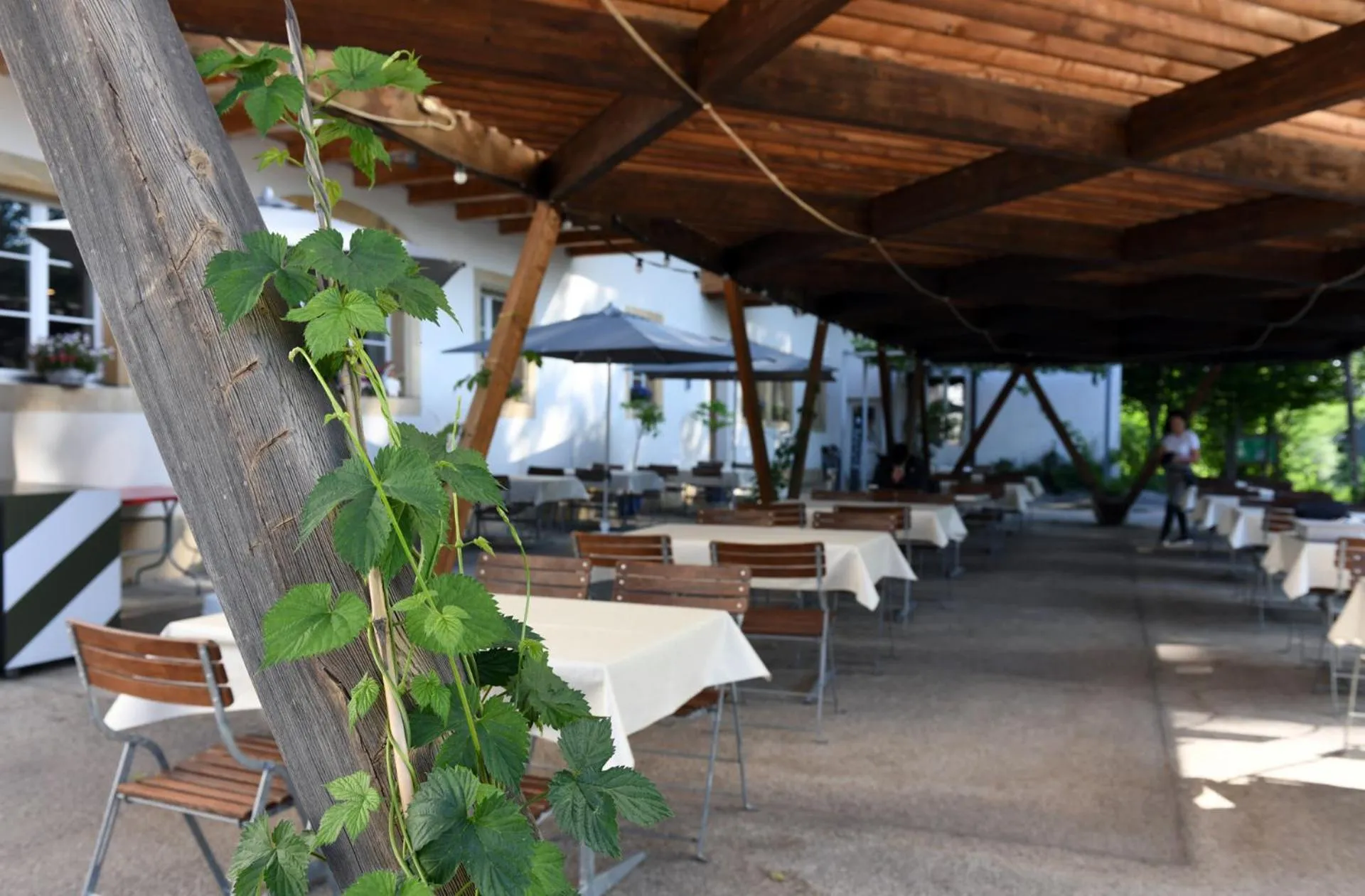 Property building in Hôtel Domaine de la Sauge