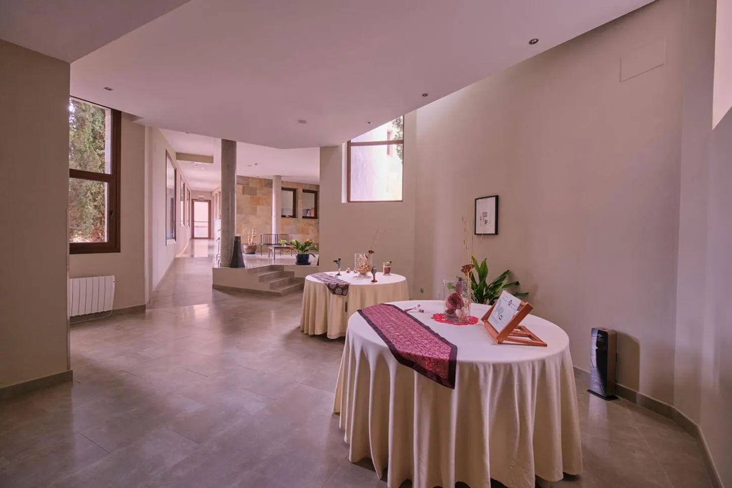 Area and facilities in Hotel Spa Villa Nazules