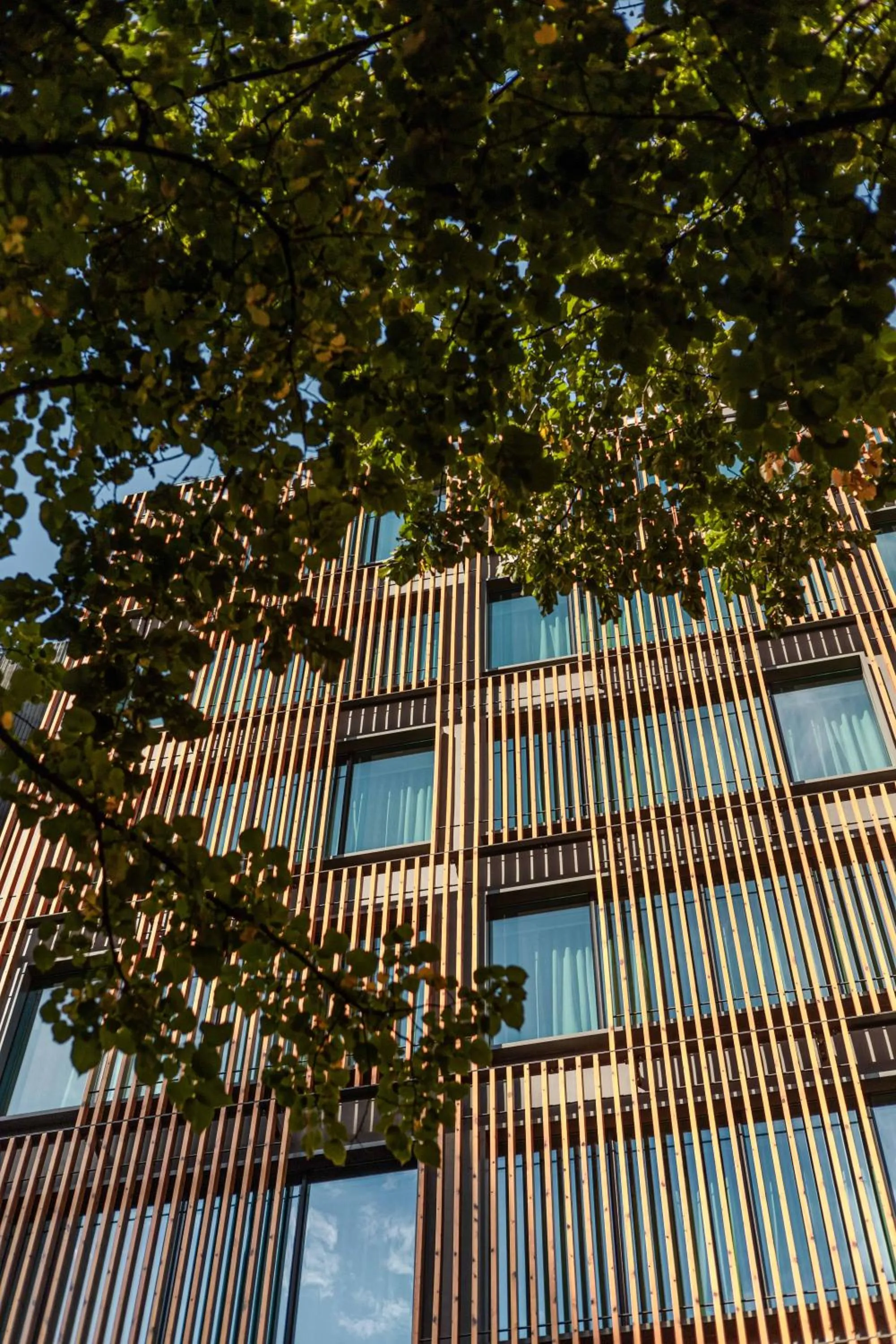 Property building in LUSTER Hotel