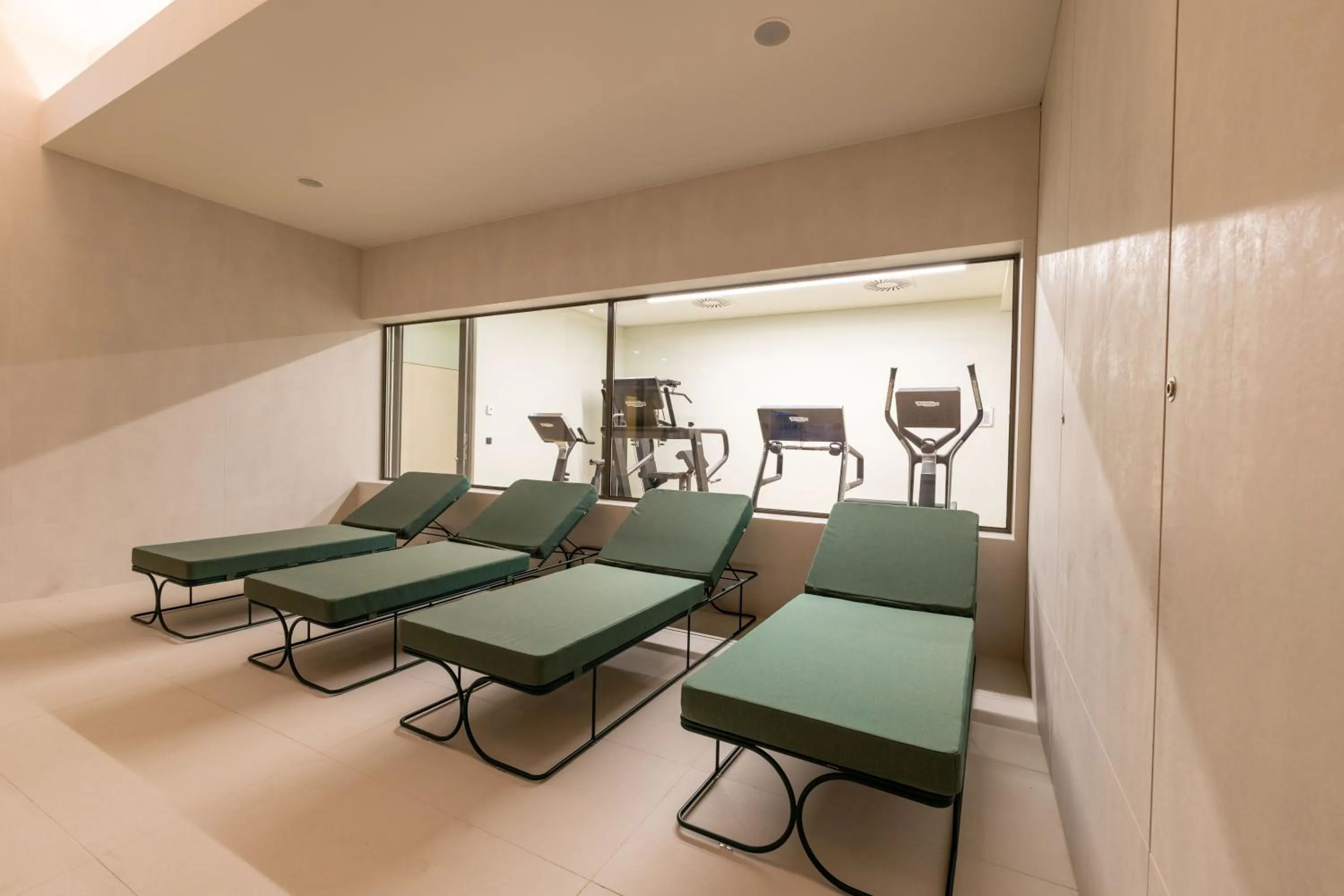 Fitness centre/facilities in LUSTER Hotel