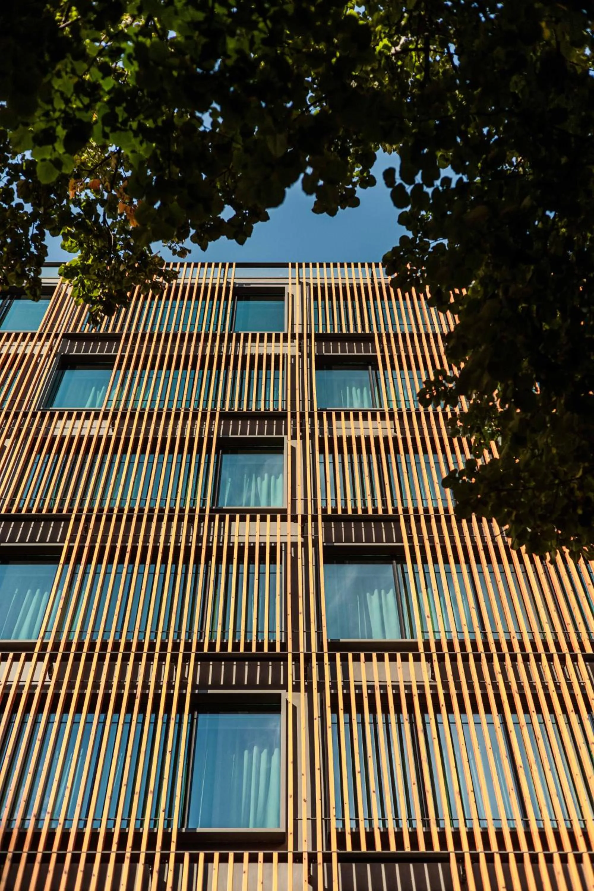 Property building in LUSTER Hotel