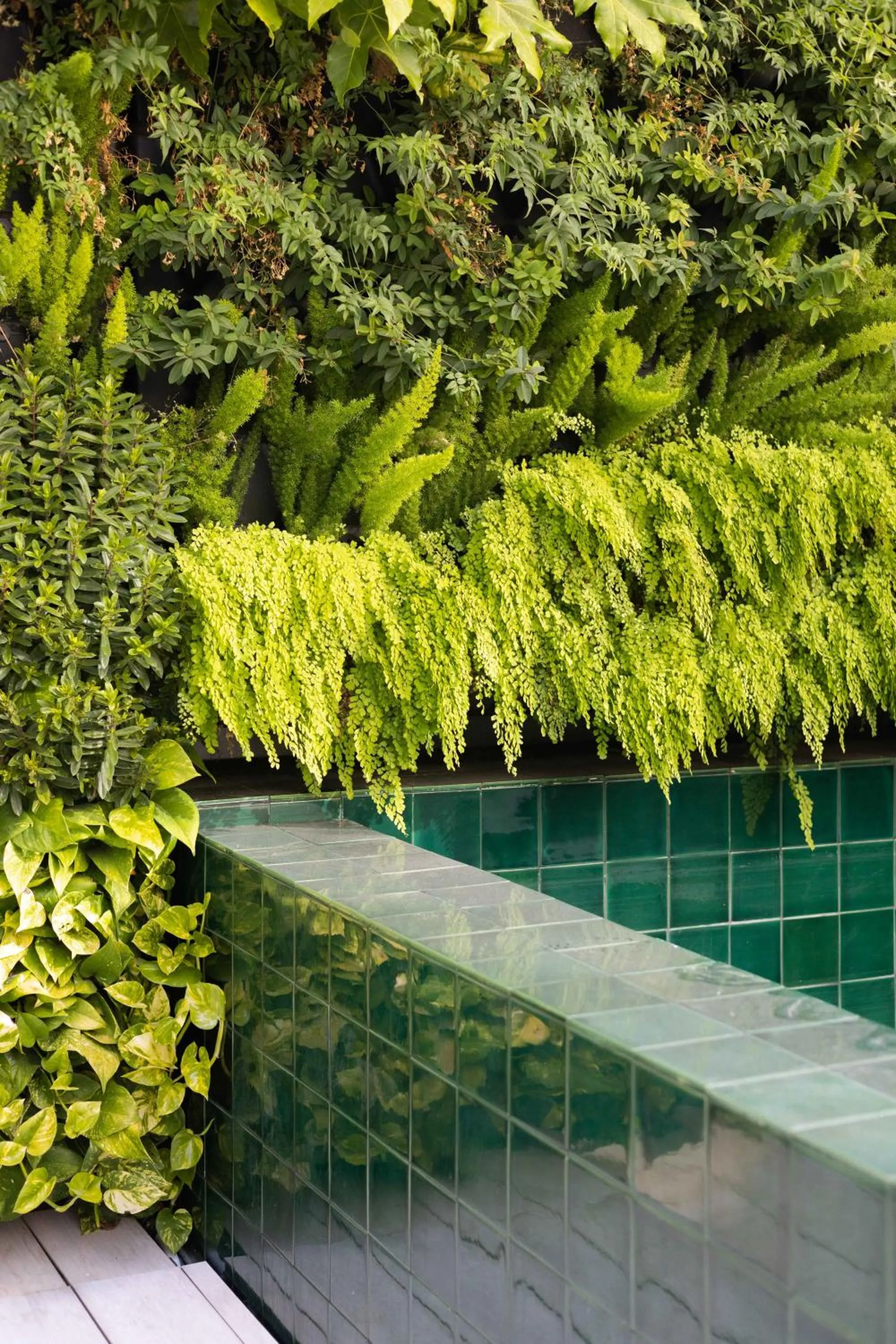 Swimming pool in LUSTER Hotel