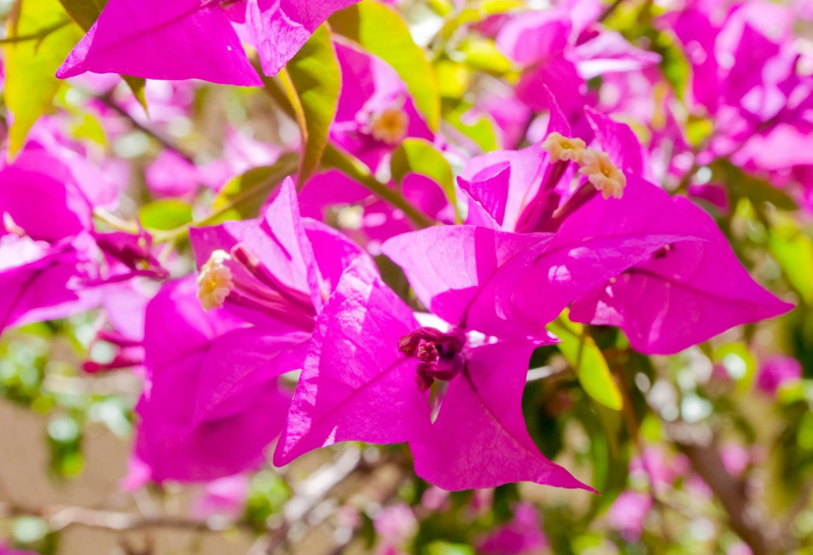 Other in Hotel Ciutat De Sant Adria