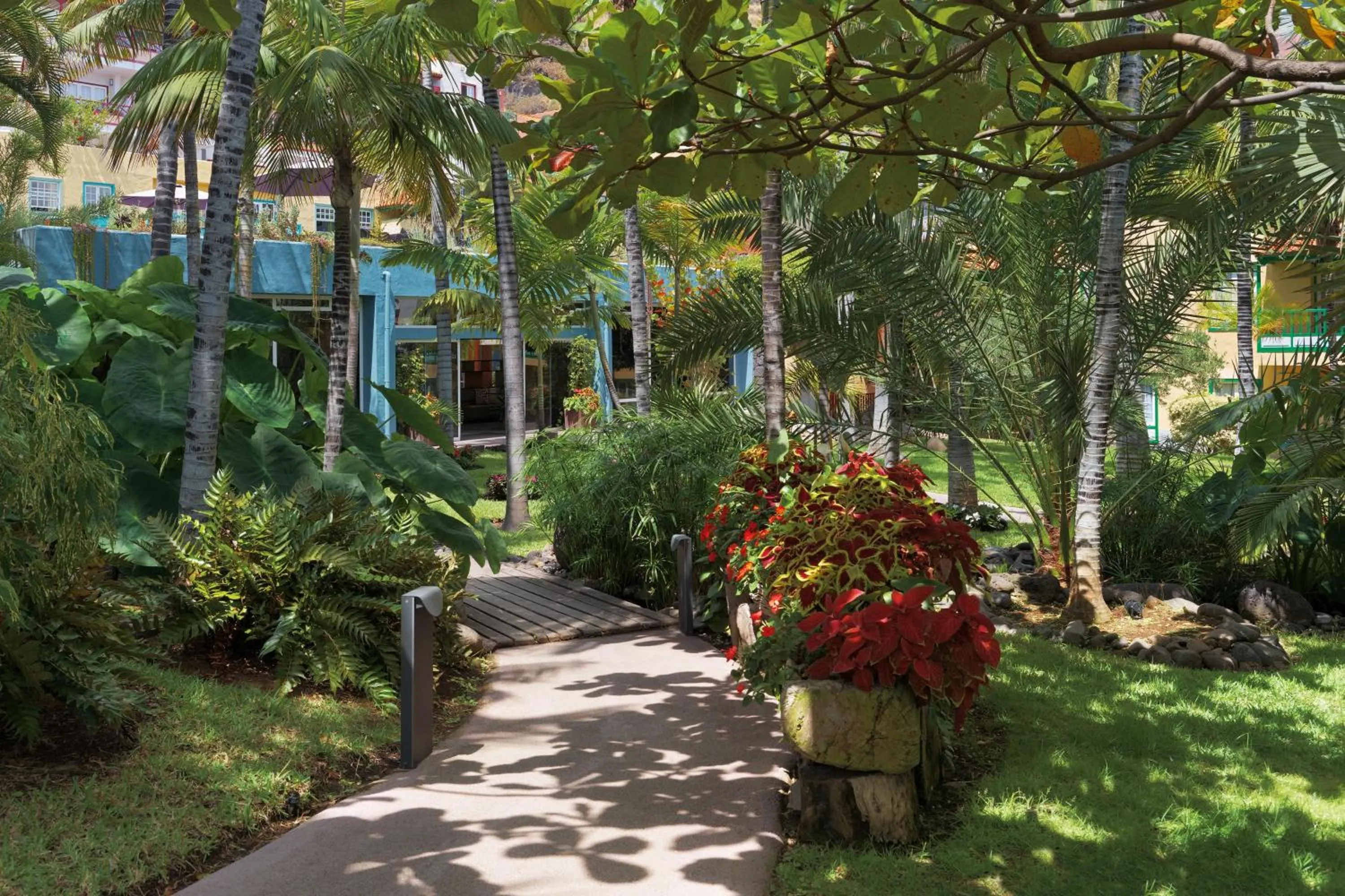 Garden in Hacienda San Jorge
