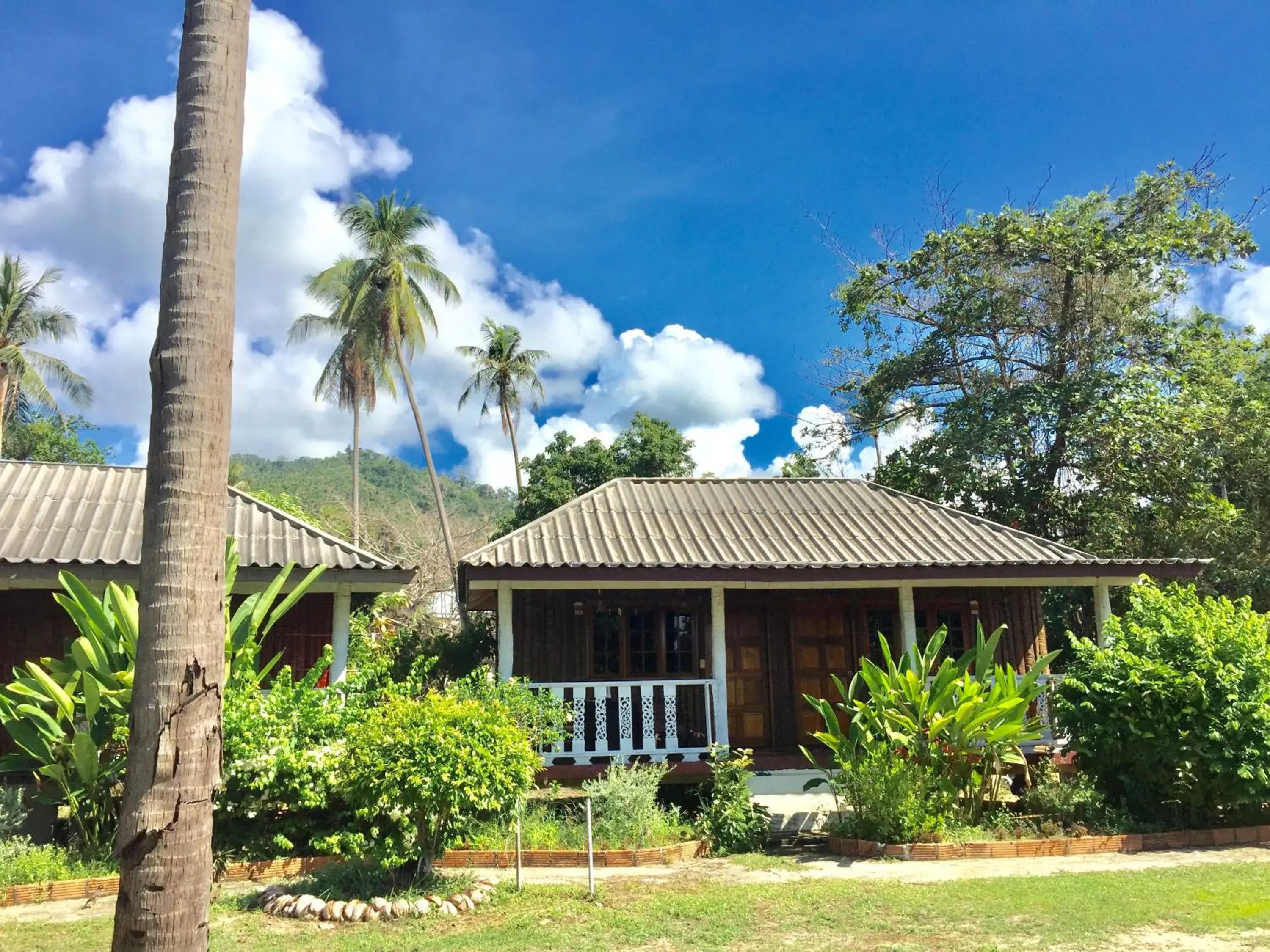 Cottage With Fan in Lamai chalet Cottage With Fan in Lamai chalet